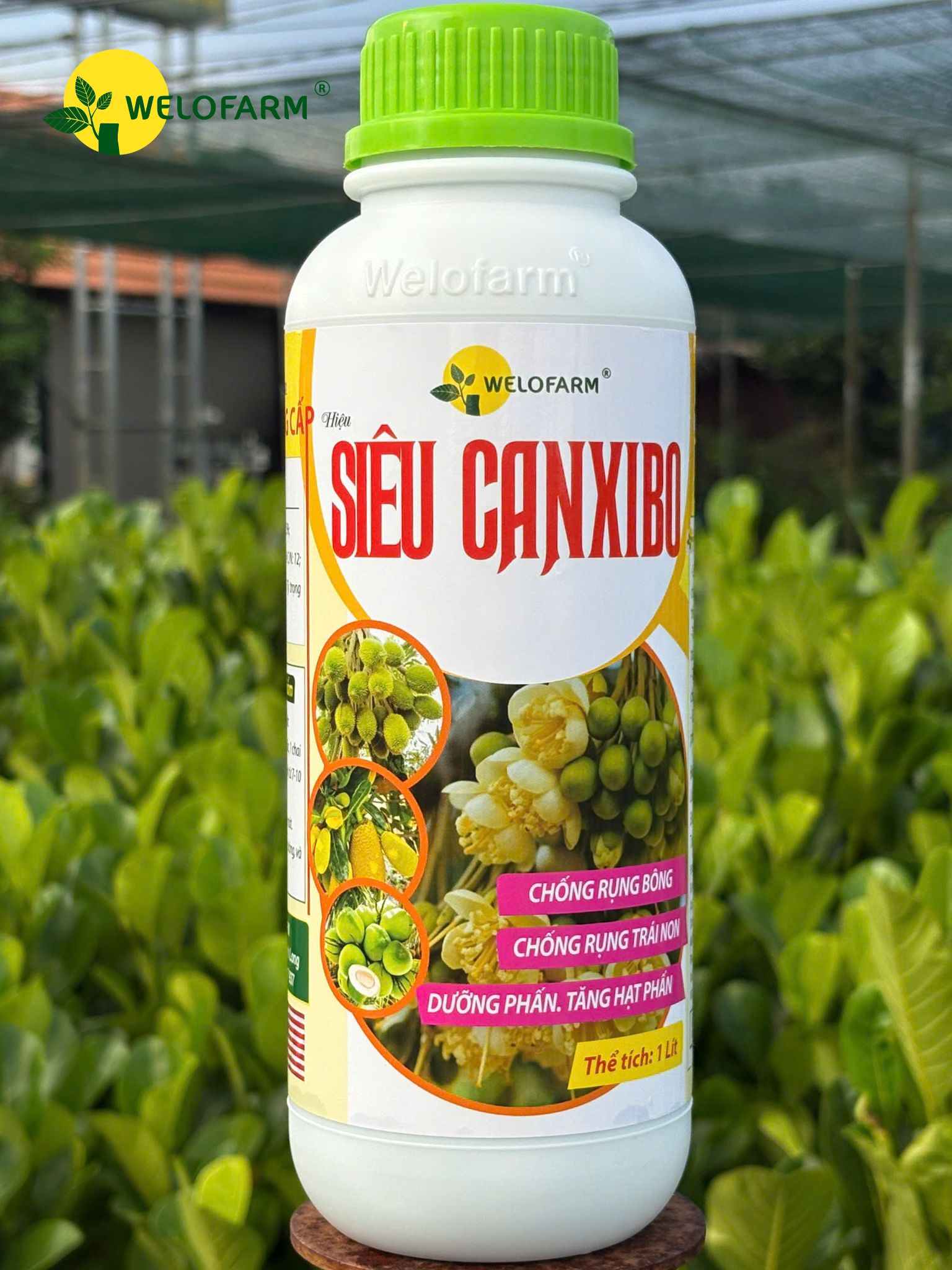 Siêu CanxiBo