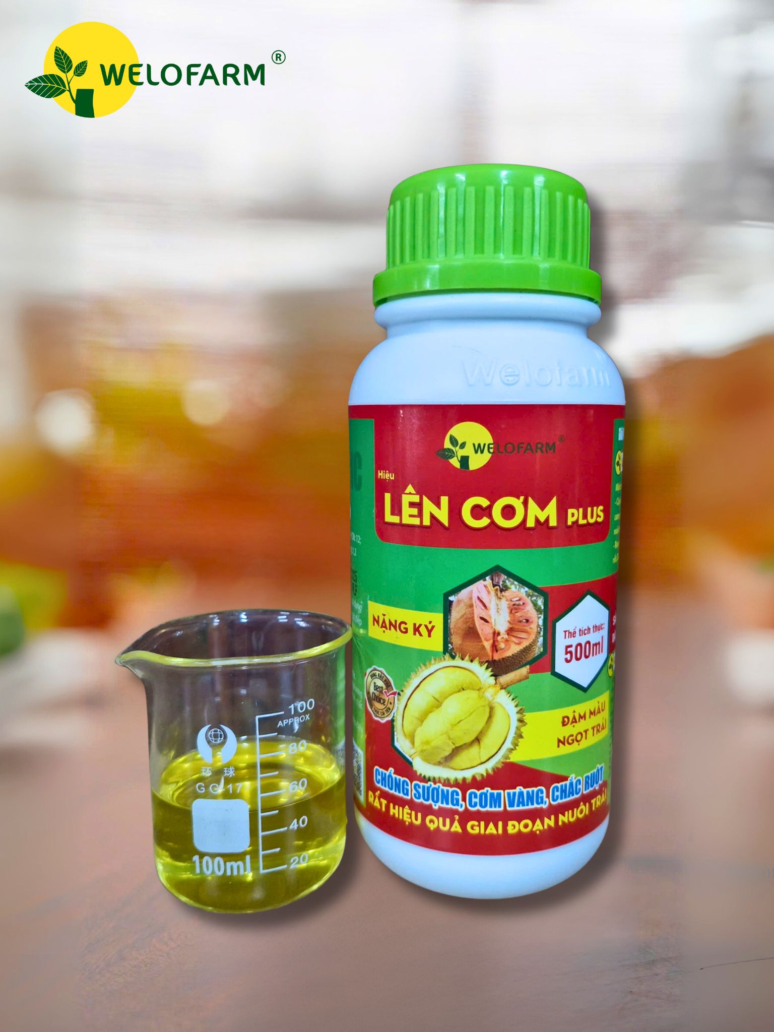 Lên Cơm Plus