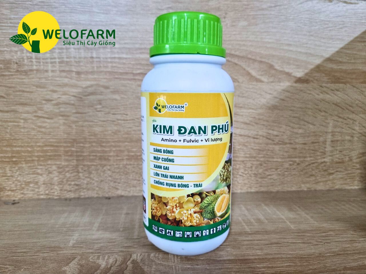 Kim Đan Phú