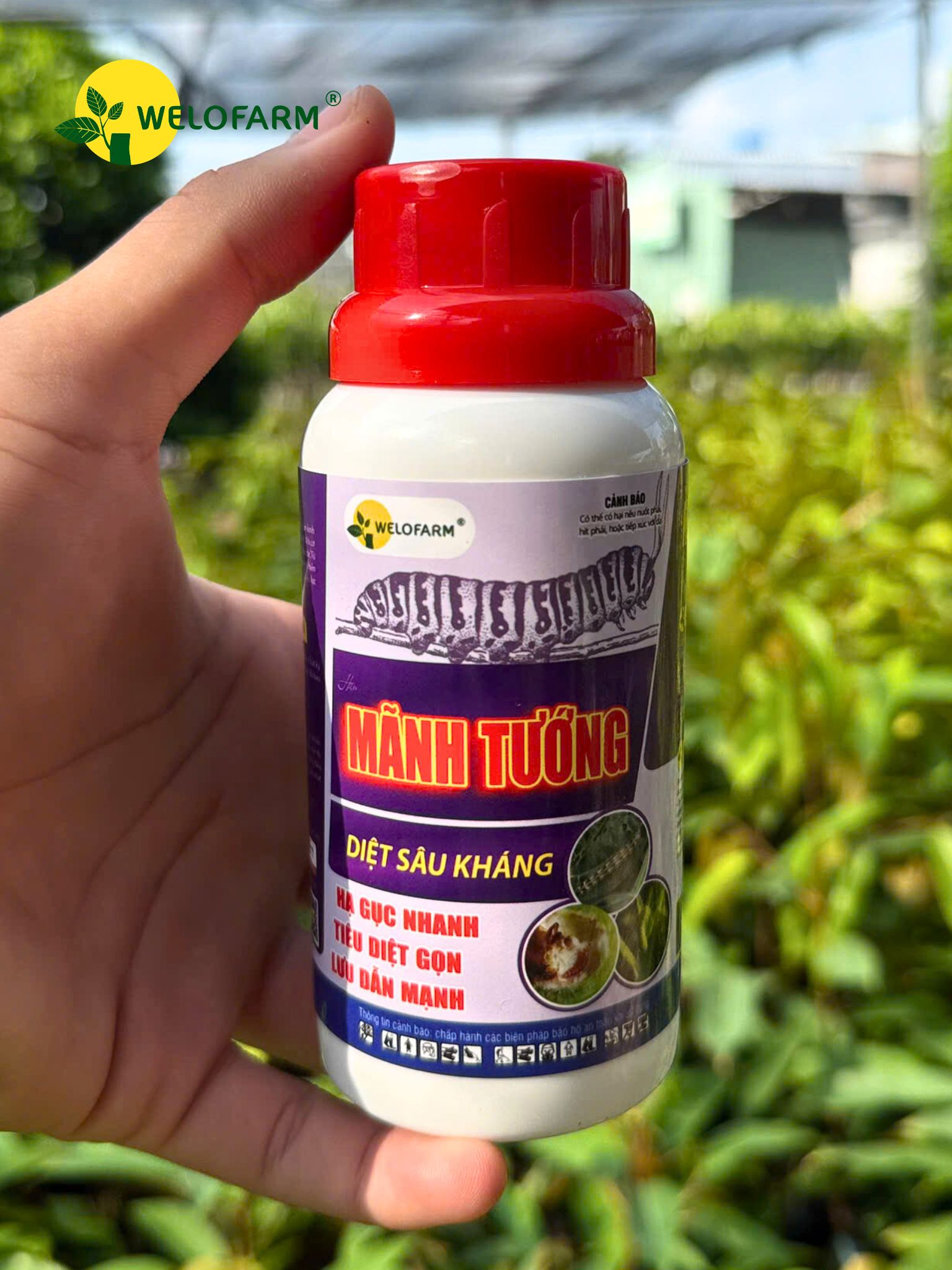 Mãnh Tướng Diệt Sâu