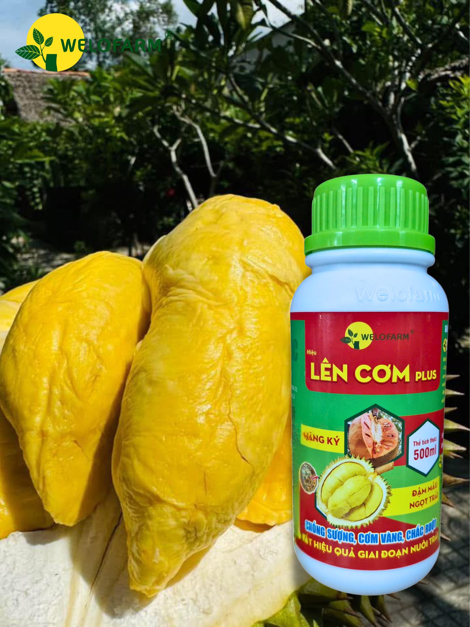 Lên Cơm Plus