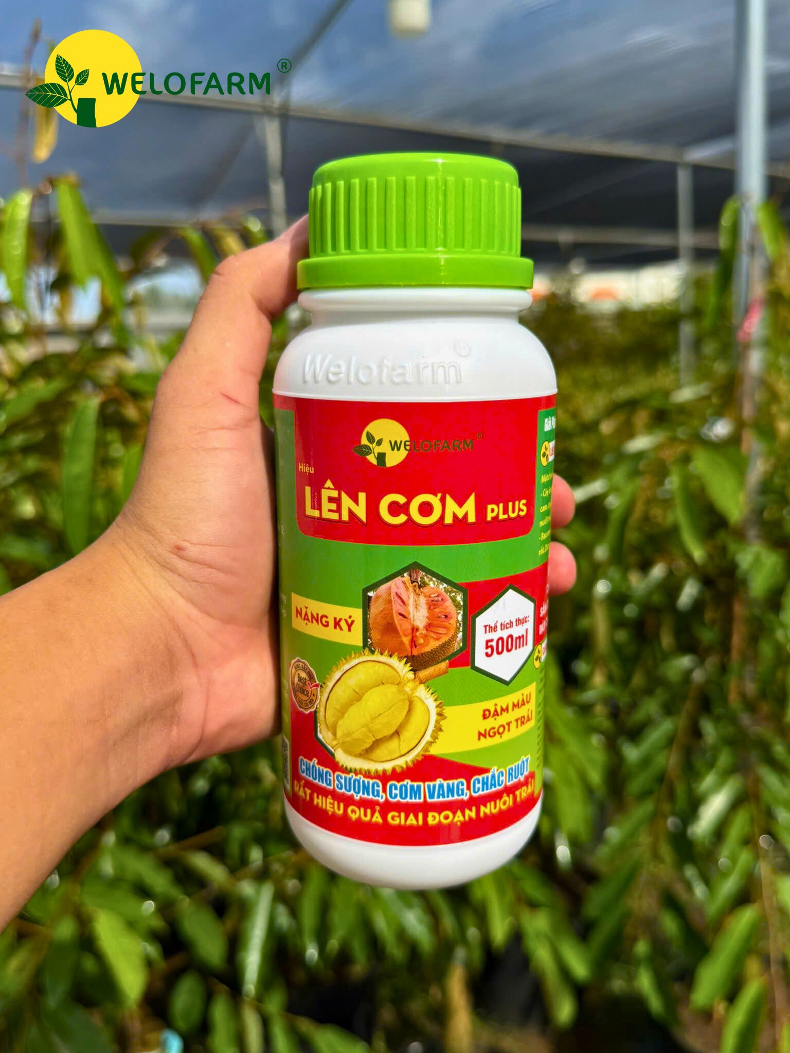 Lên Cơm Plus