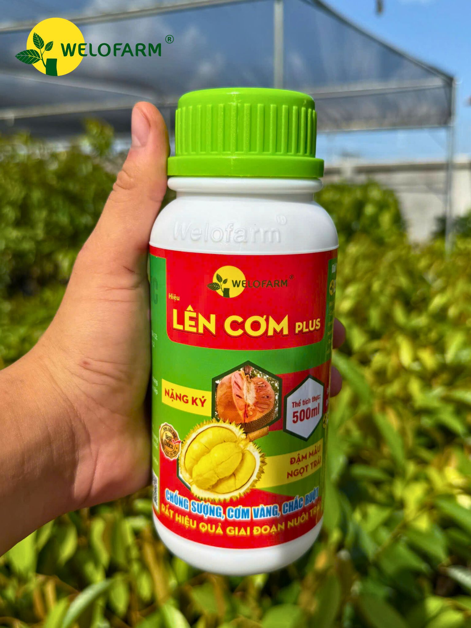 Lên Cơm Plus