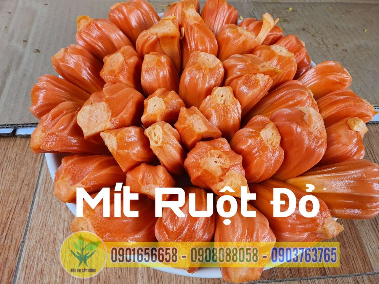 Mít Ruột Đỏ Xơ Vàng