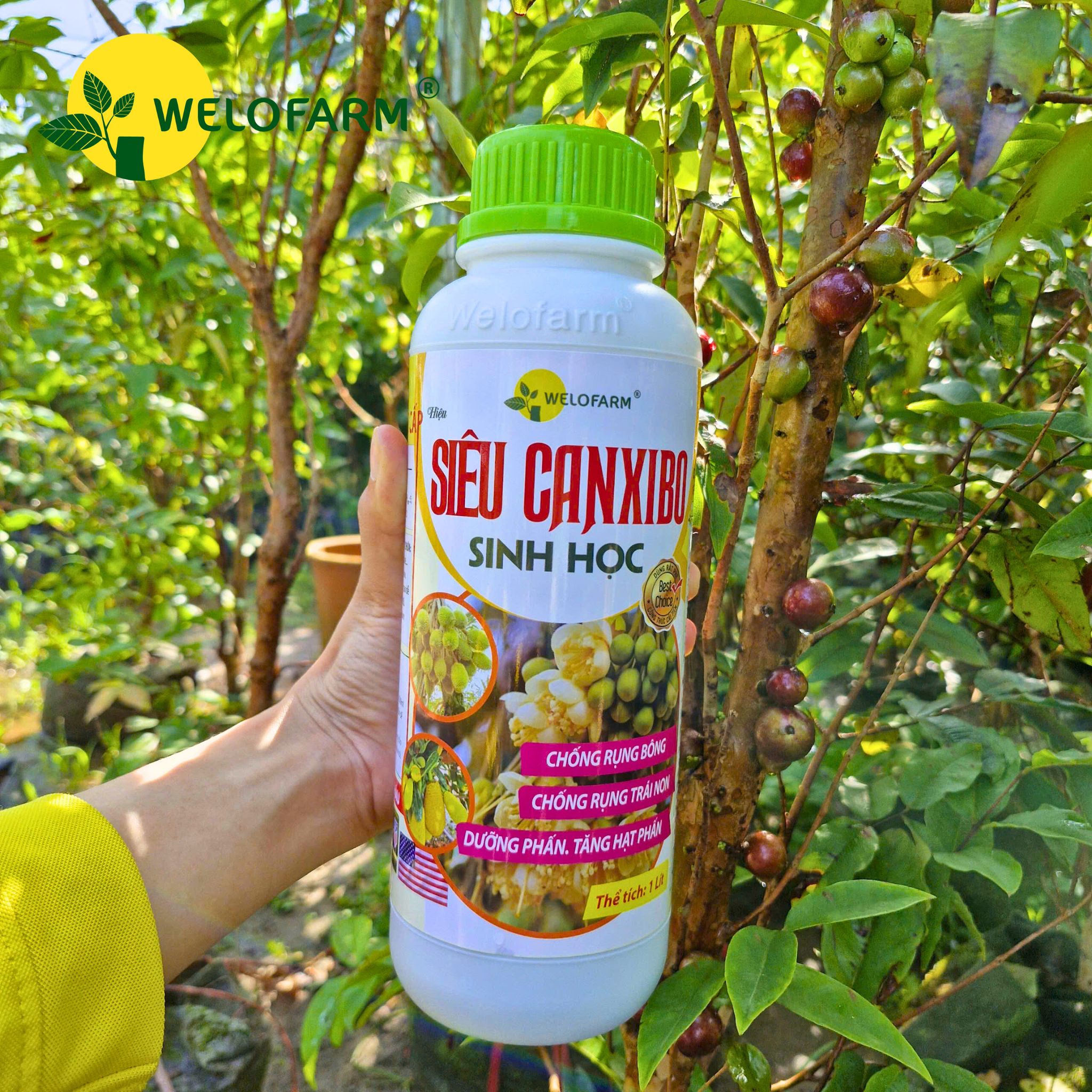 Siêu Canxi - Bo Sinh Học