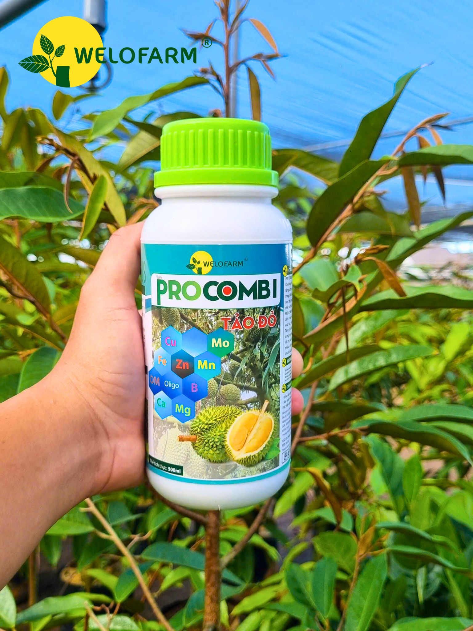 Procombi Tảo Đỏ 1L