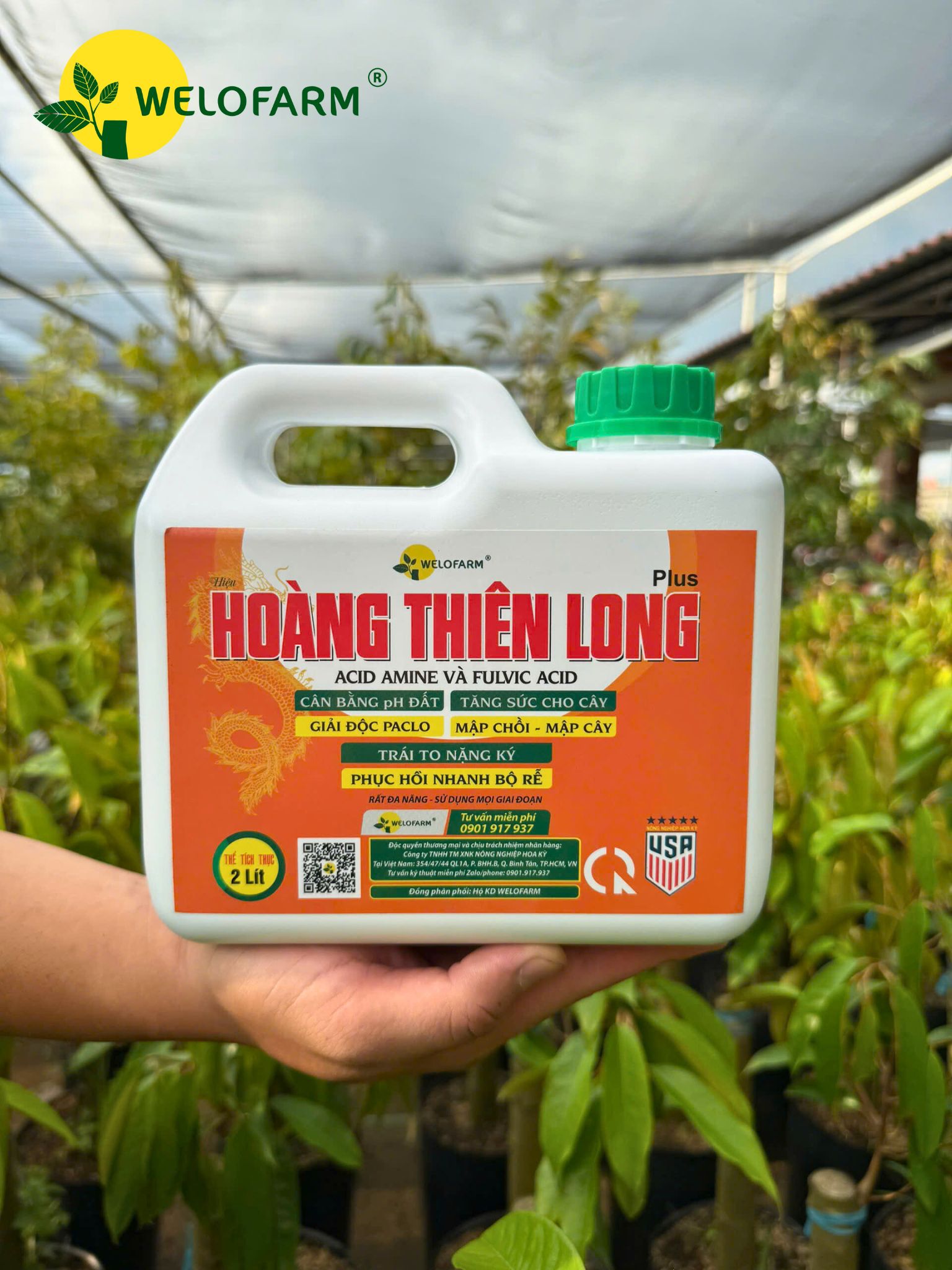 Plus Hoàng Thiên Long