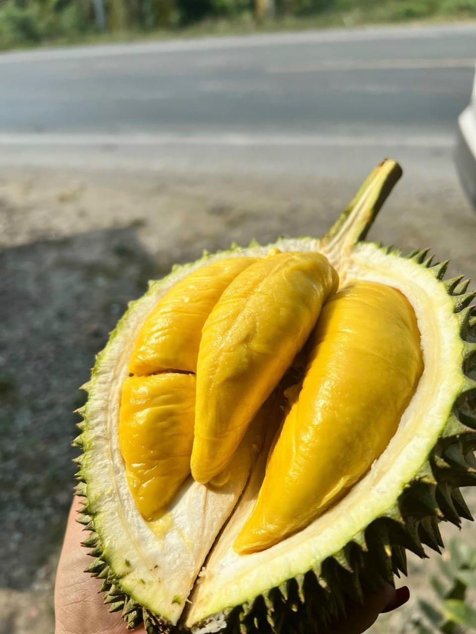 Sầu Riêng Musang King