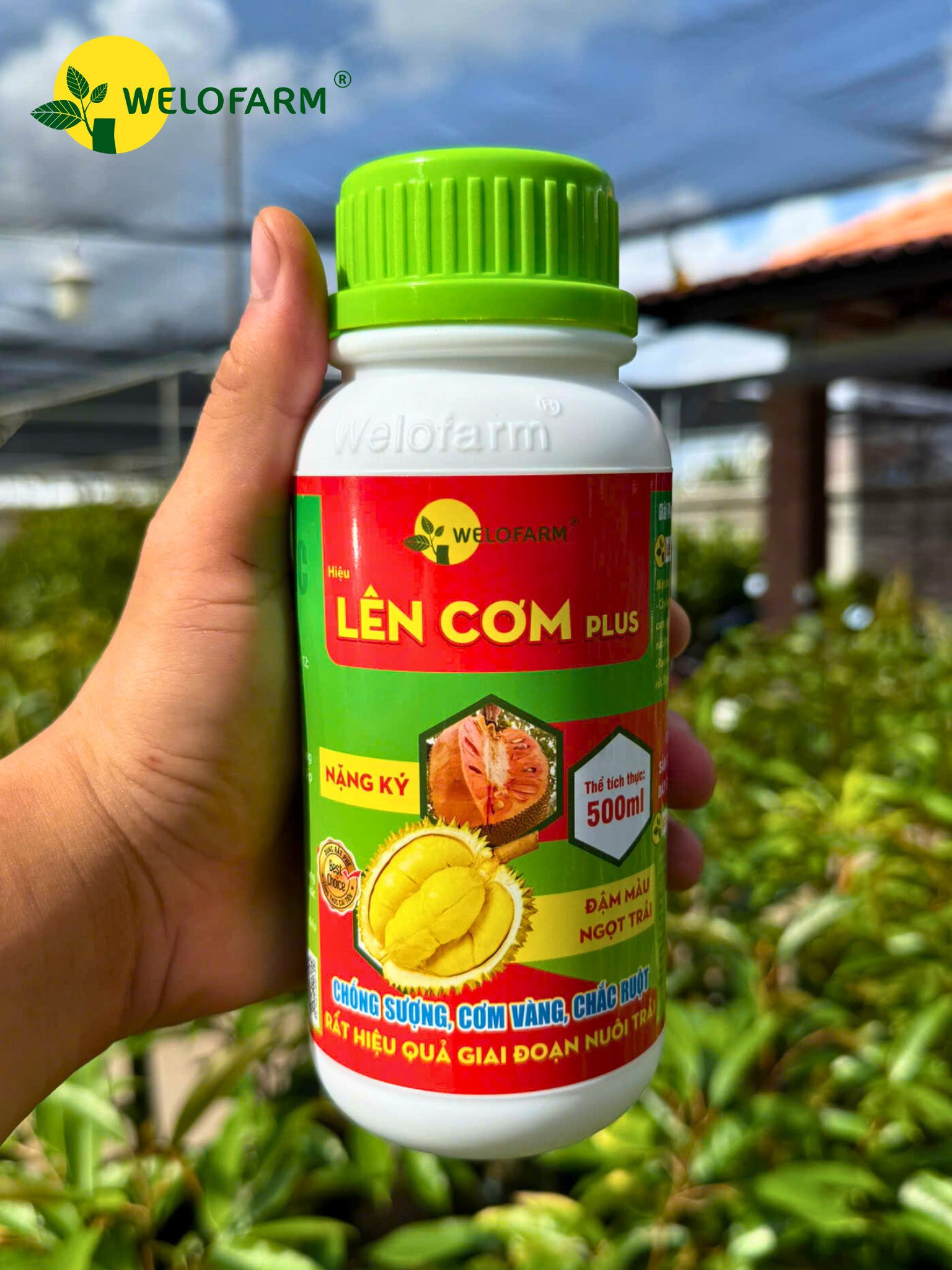 Lên Cơm Plus