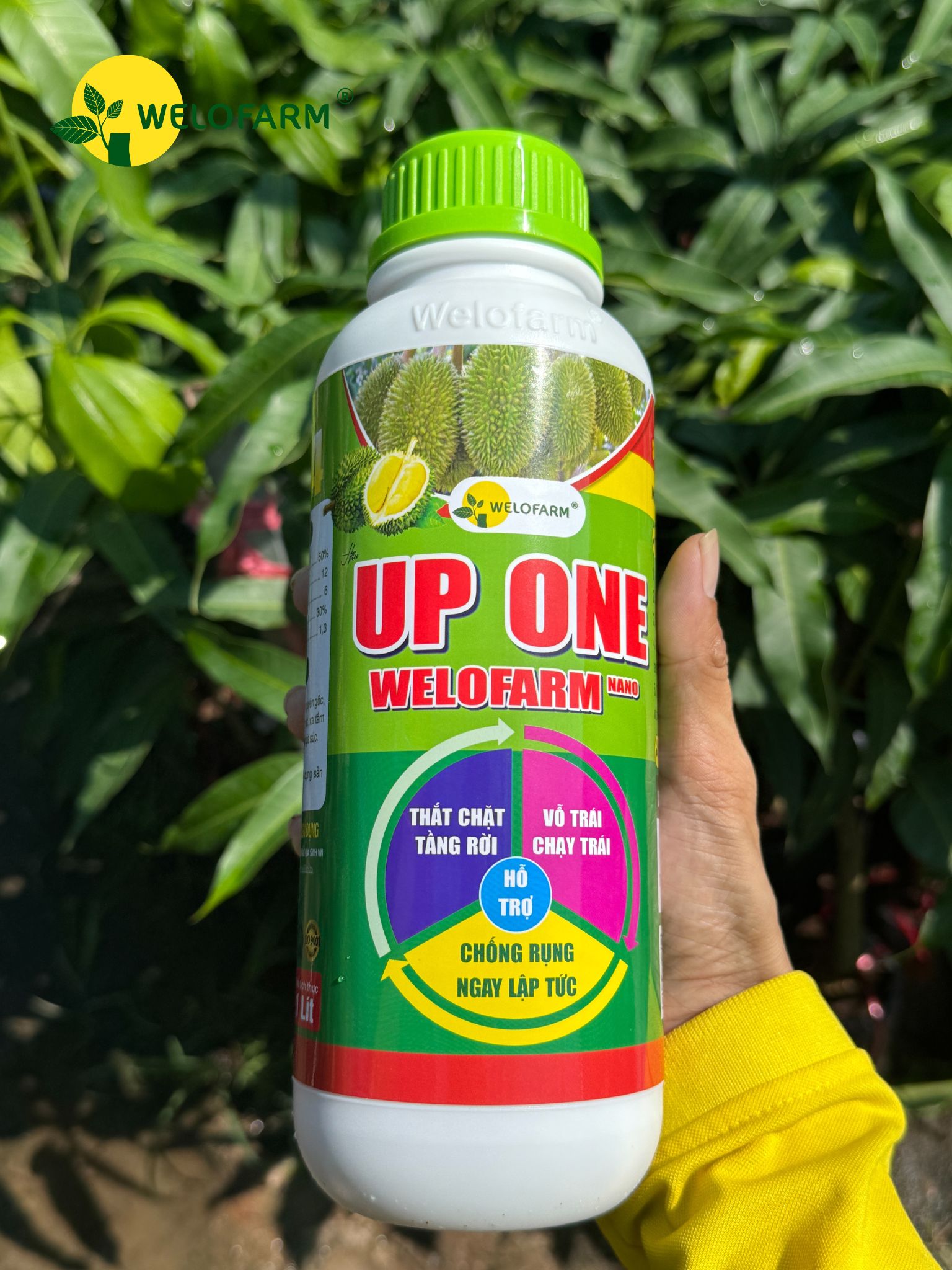Up One Nano Welofarm