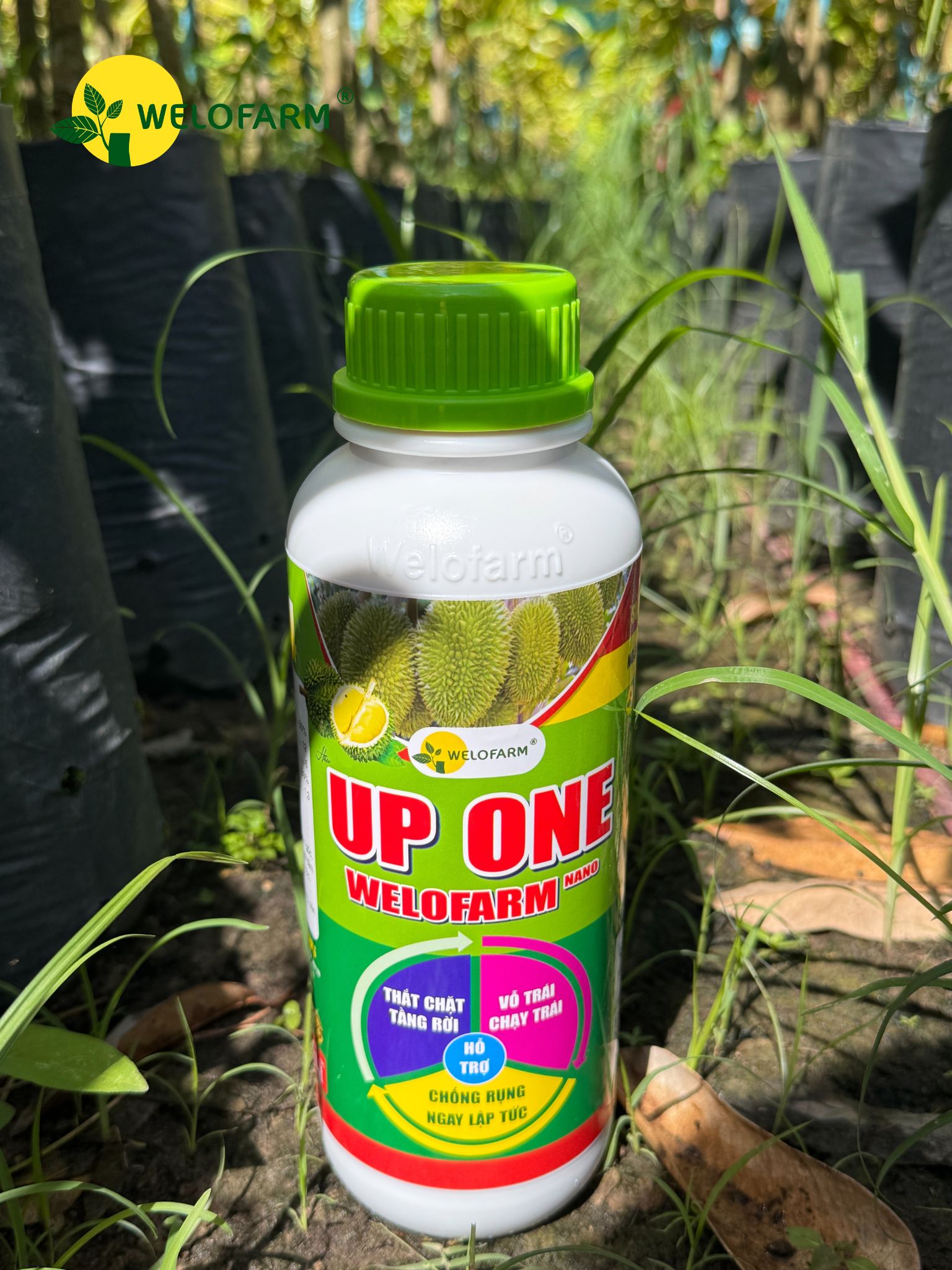 Up One Nano Welofarm