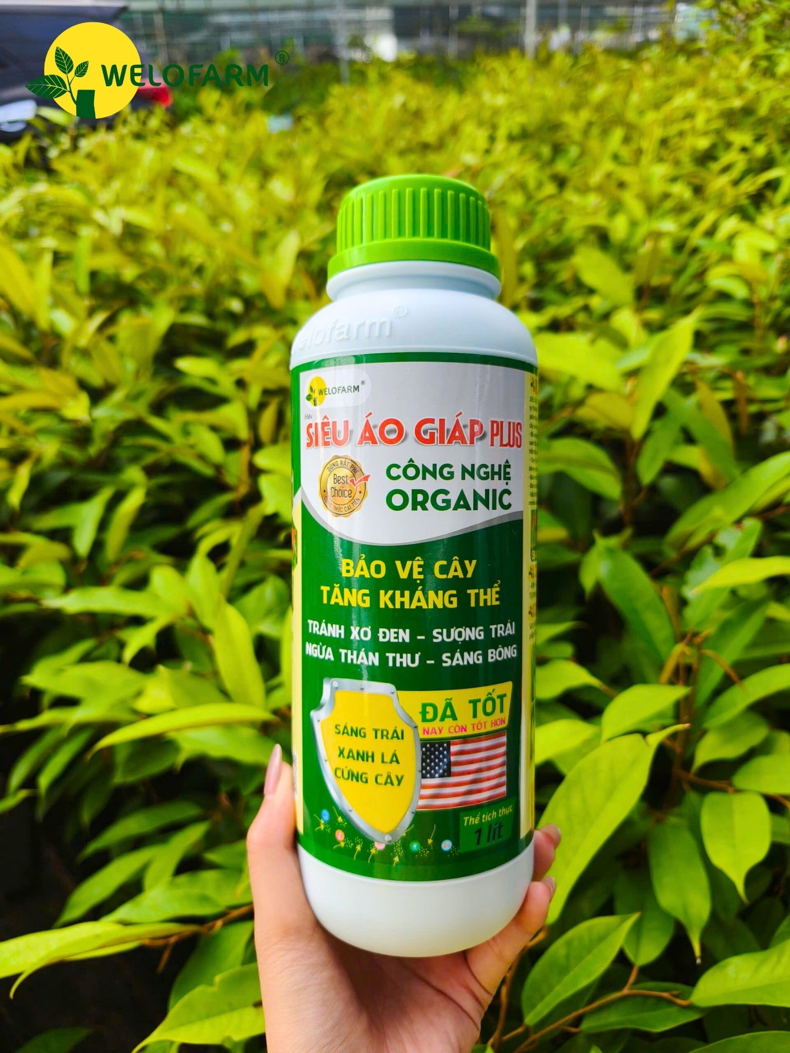 PLUS SIÊU ÁO GIÁP