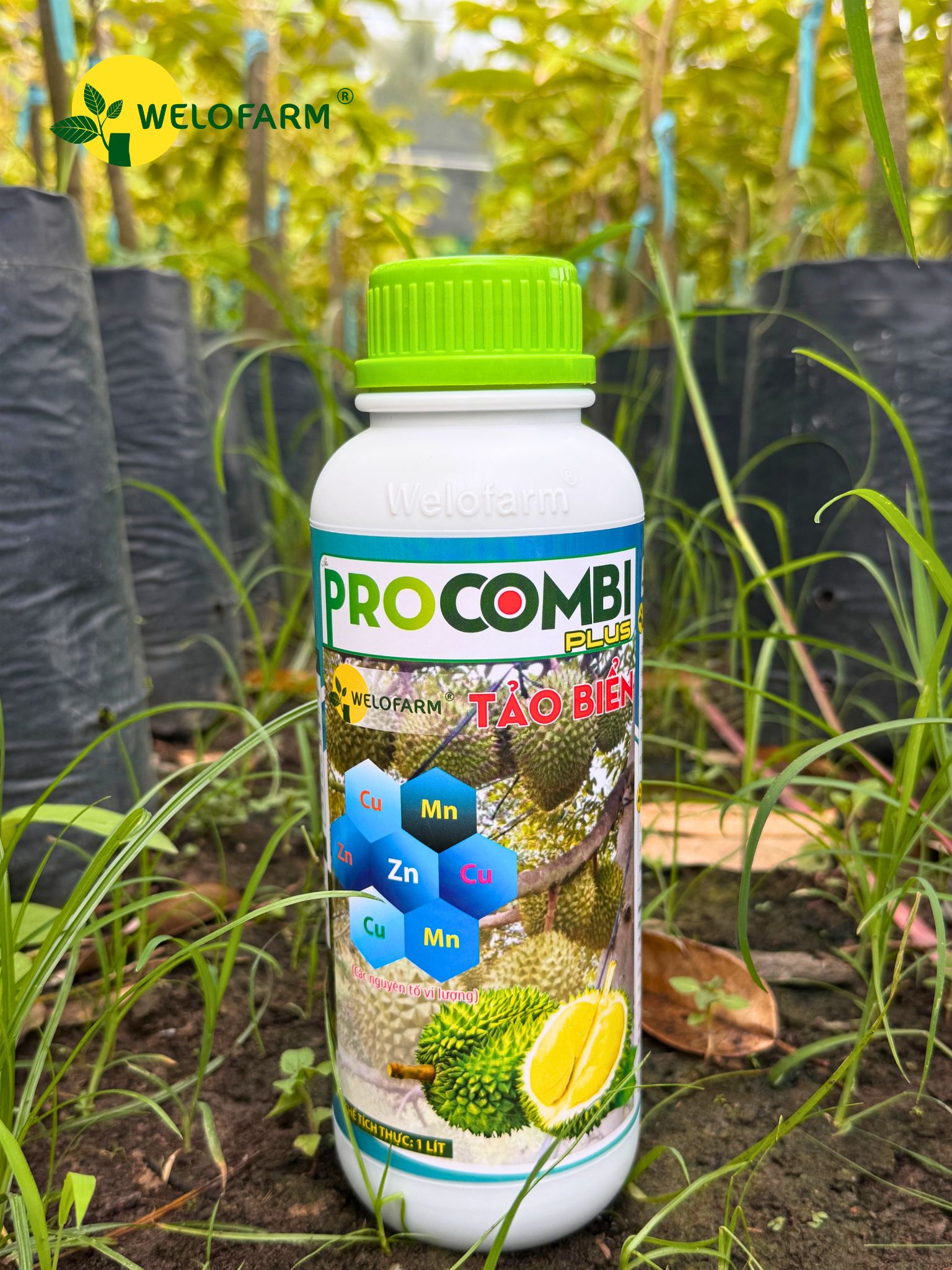 Pro Combi Plus