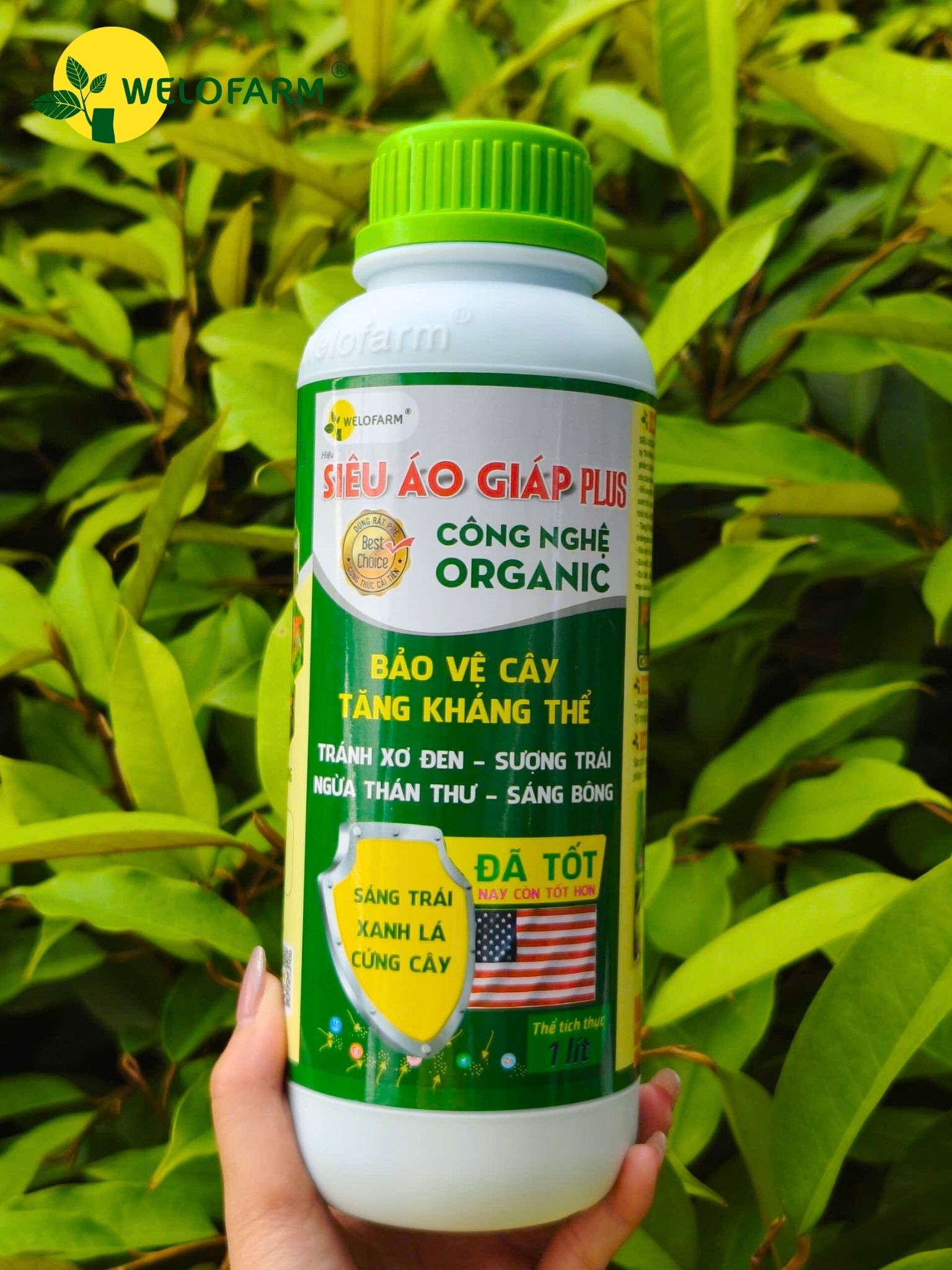 PLUS SIÊU ÁO GIÁP