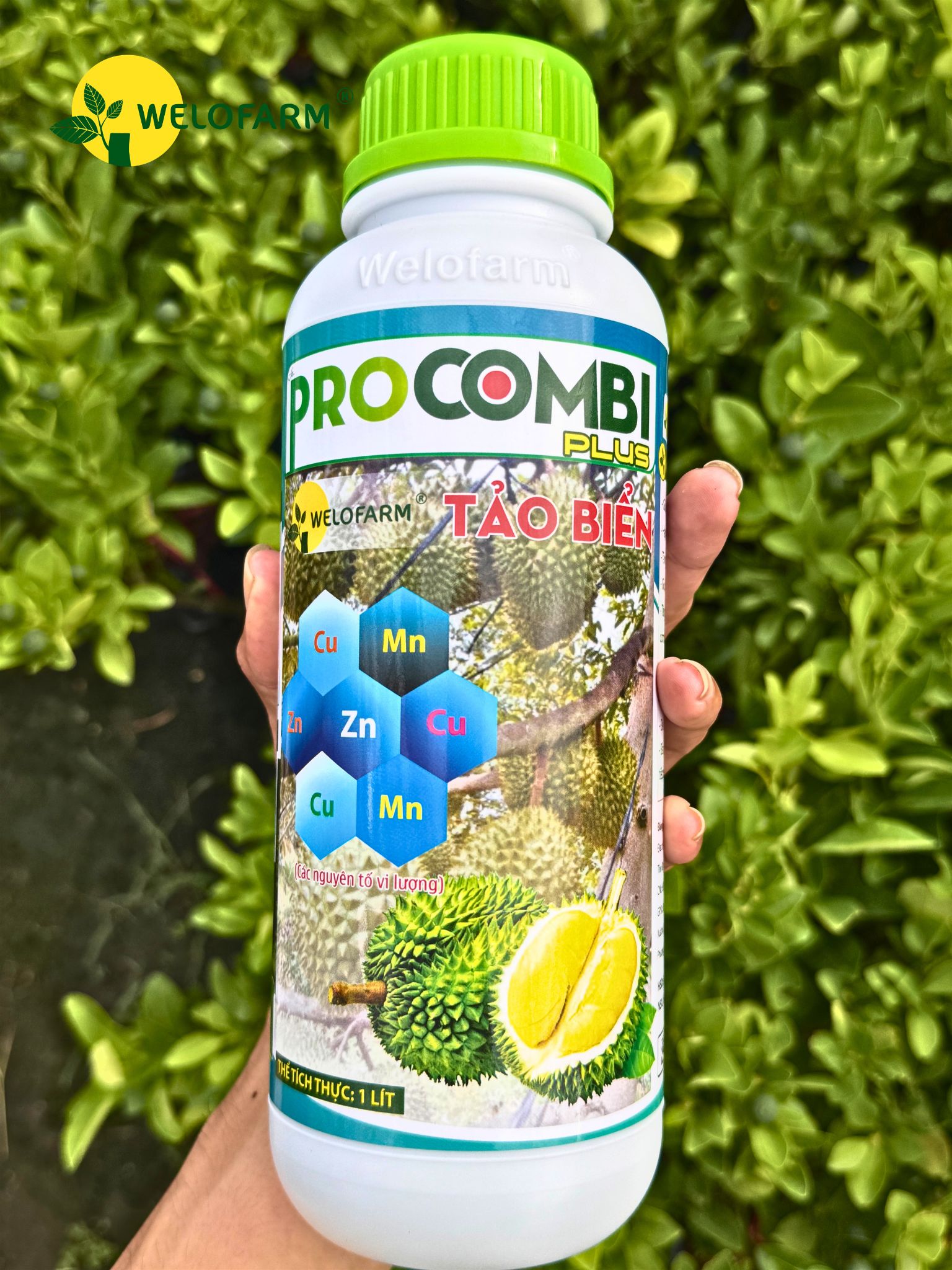 Pro Combi Plus