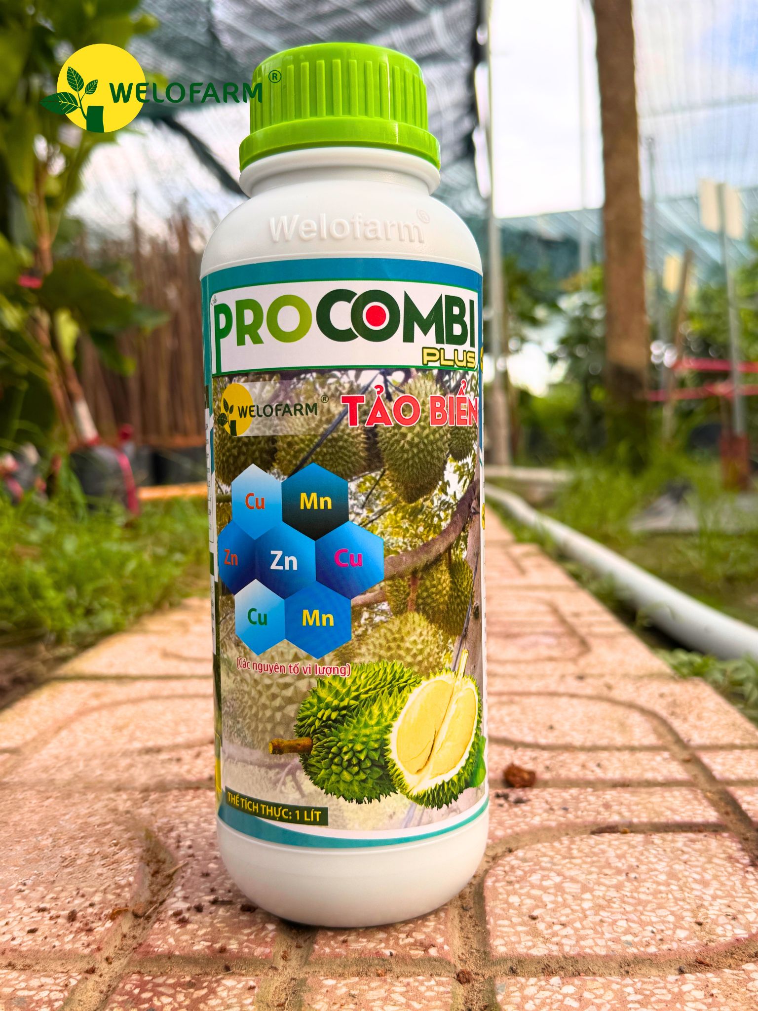 Pro Combi Plus