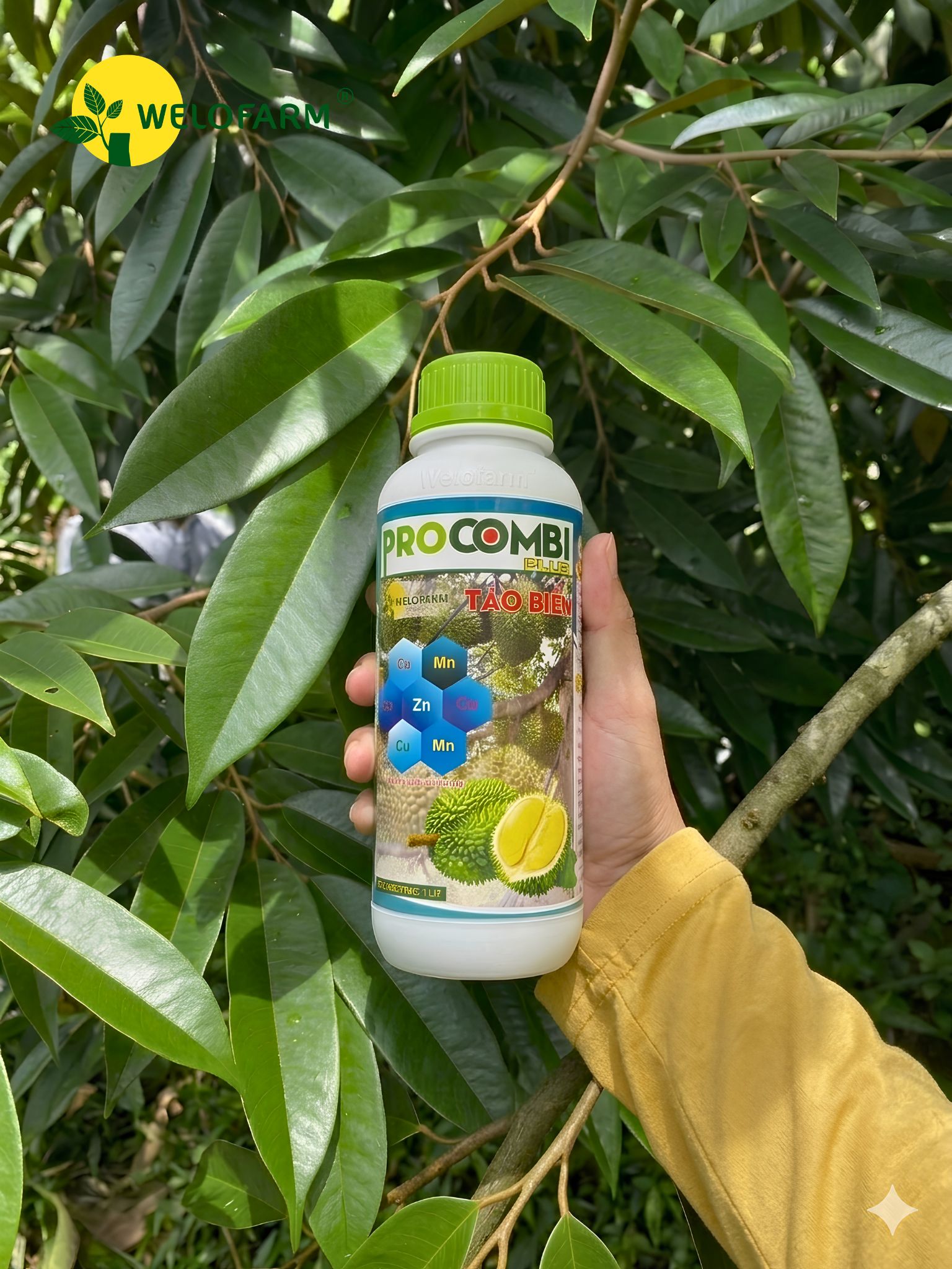 Pro Combi Plus