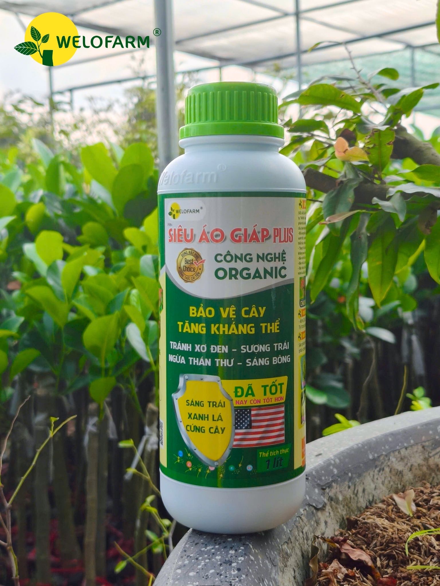 PLUS SIÊU ÁO GIÁP