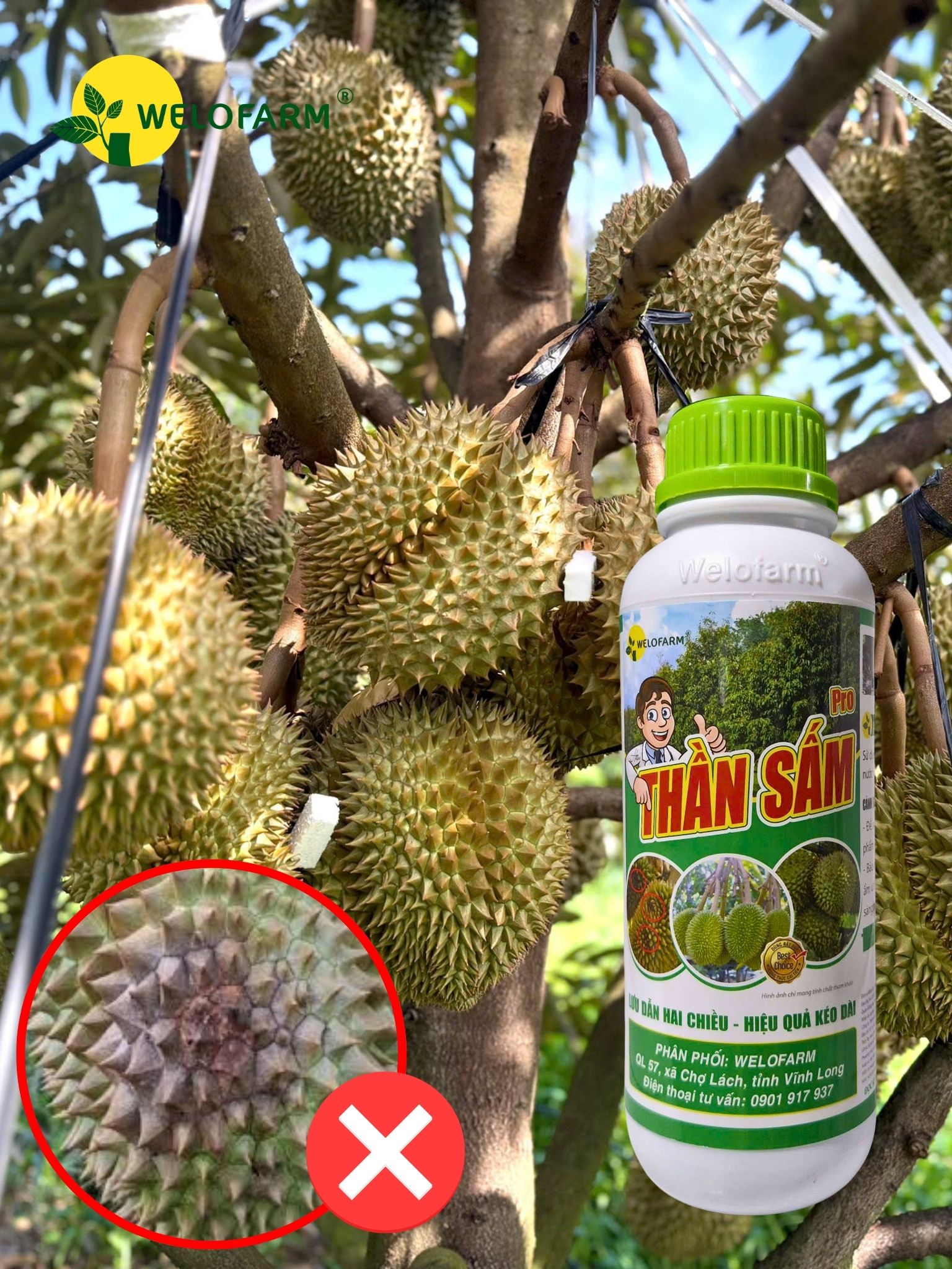 Thần Sấm Tuyến Trùng Pro