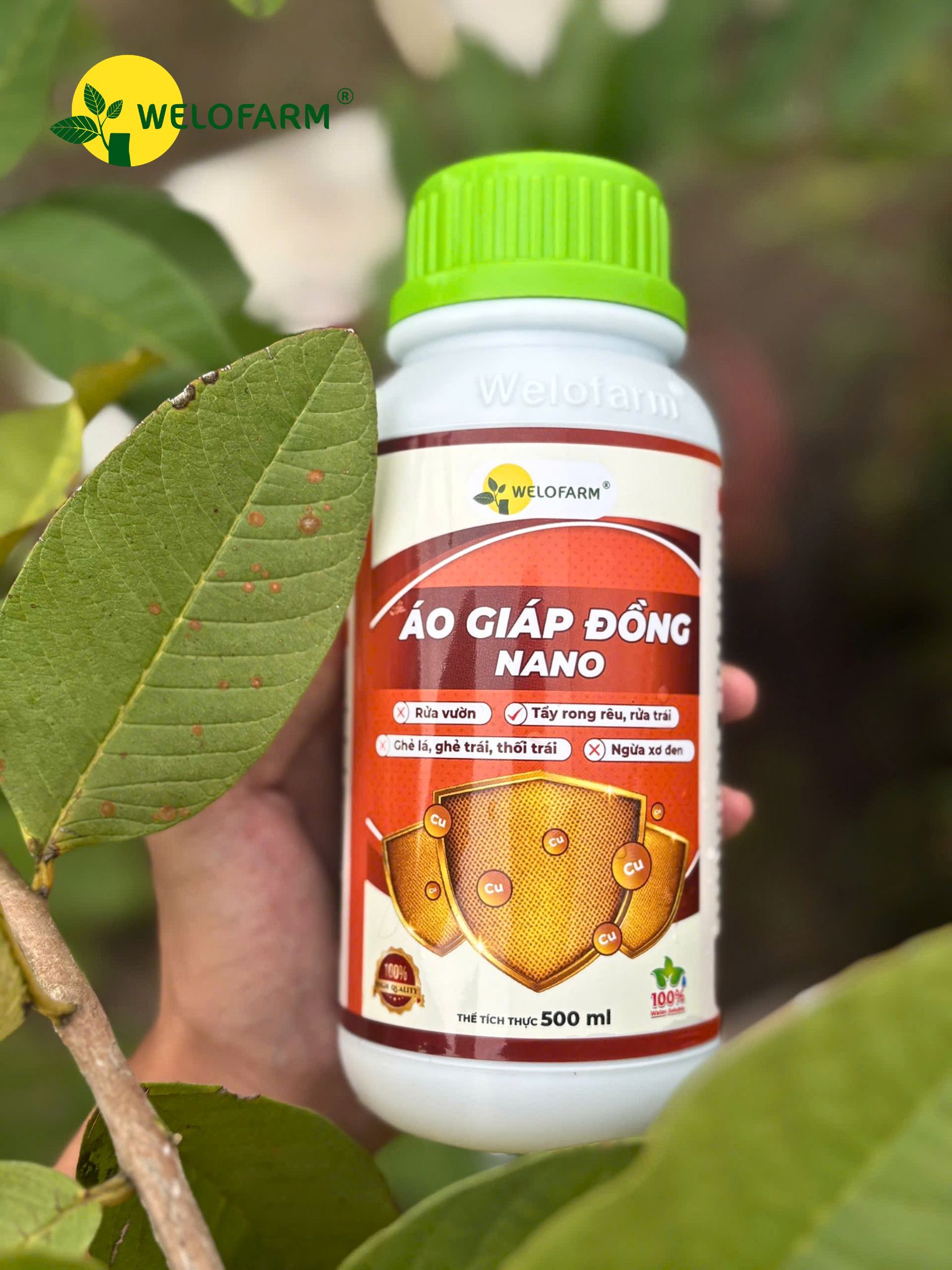 Áo Giáp Đồng Nano