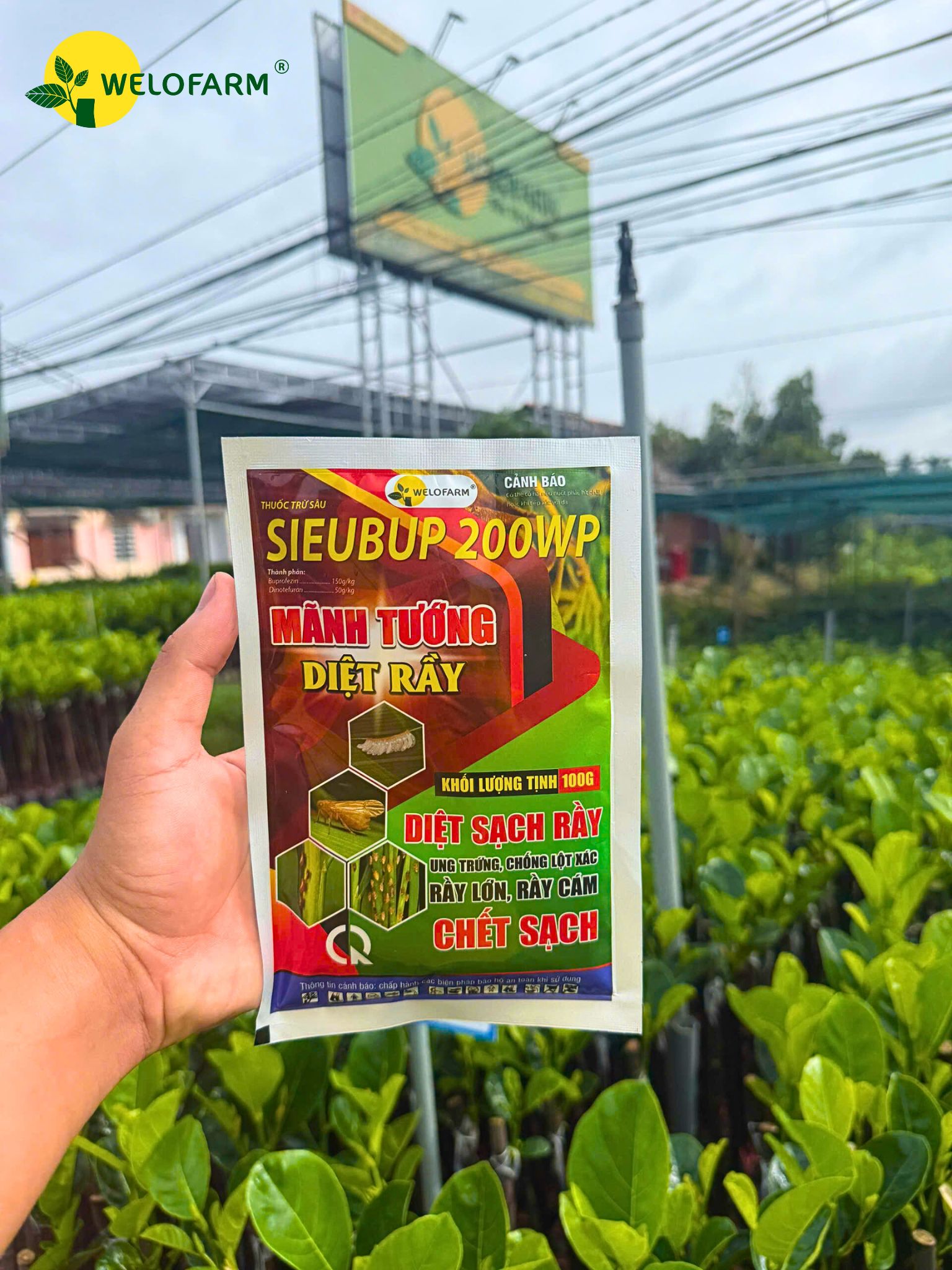 Mãnh Tướng Diệt Rầy SIEUBUP 200WP