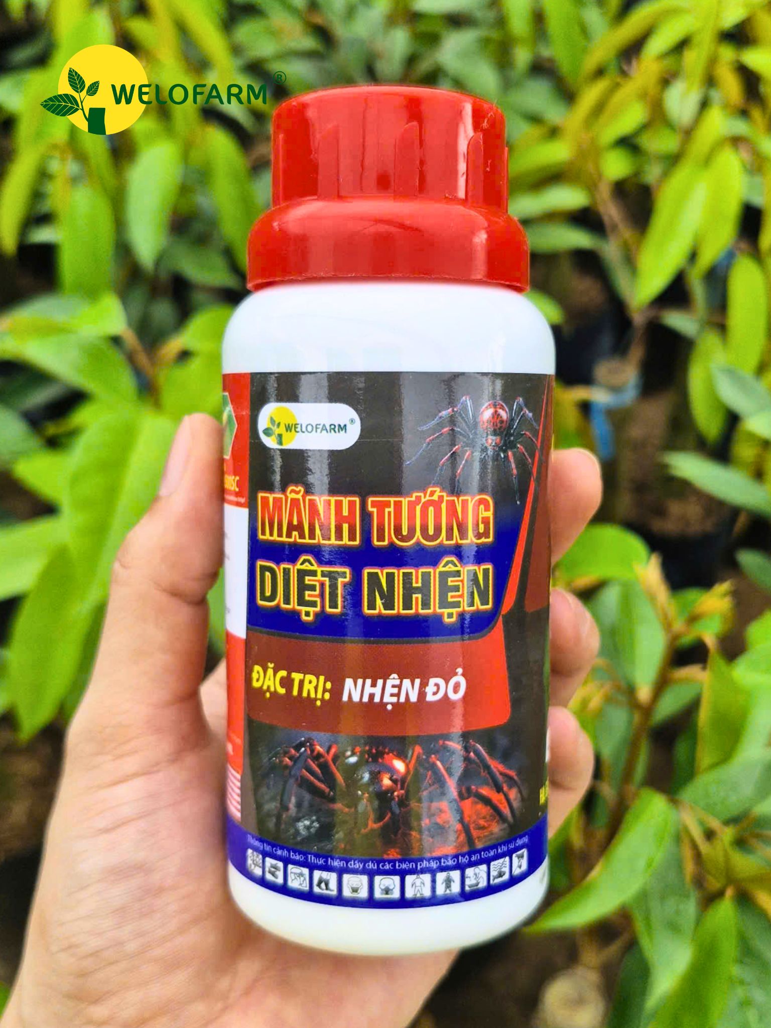 Diệt Nhện Brahmos 500SC