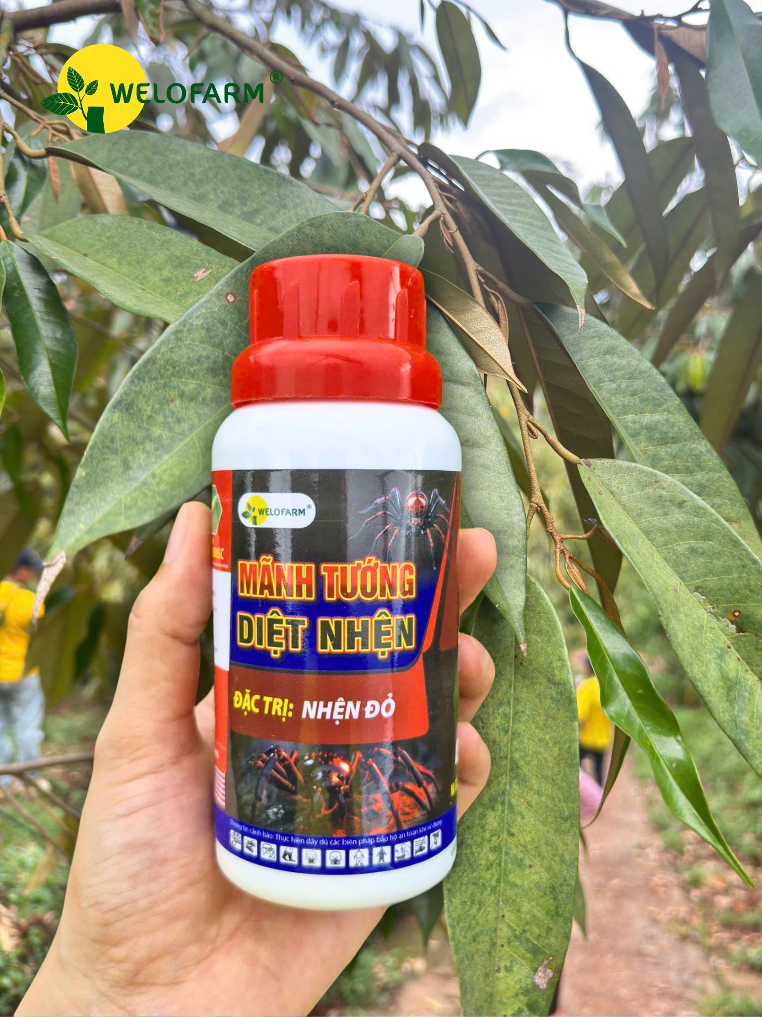Diệt Nhện Brahmos 500SC