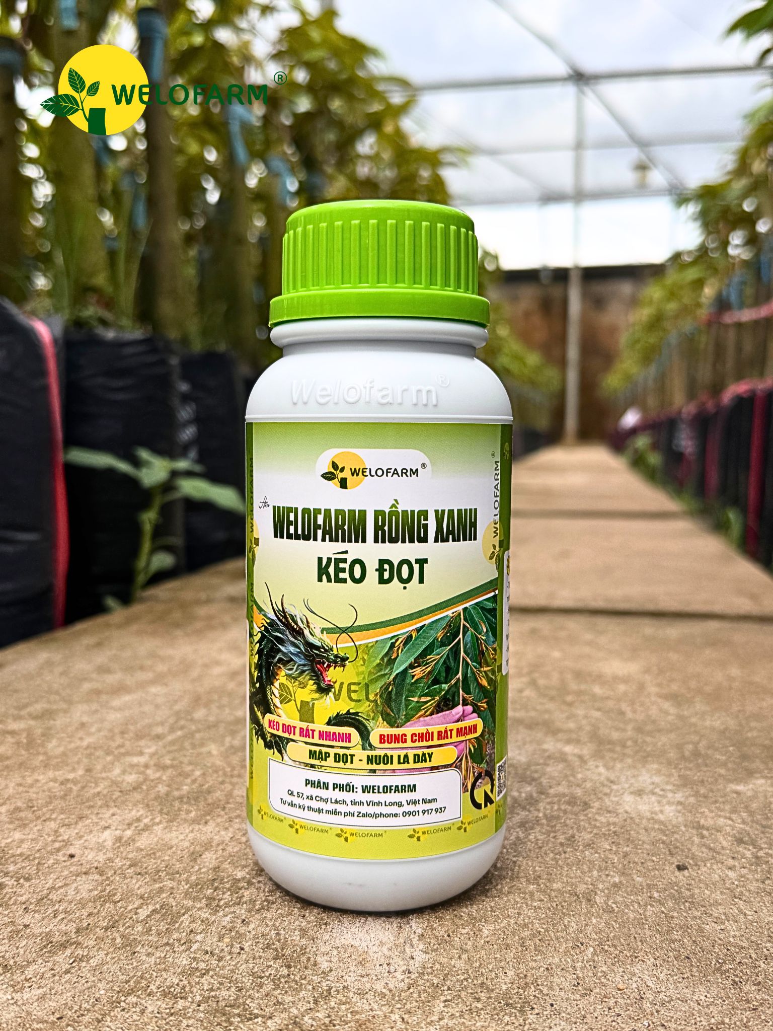 Welofarm Rồng Xanh