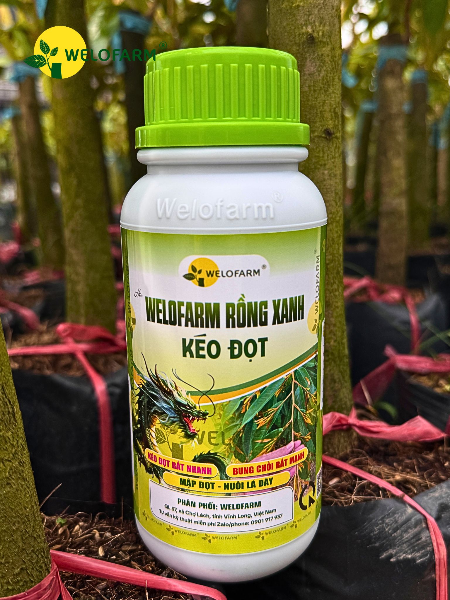 Welofarm Rồng Xanh
