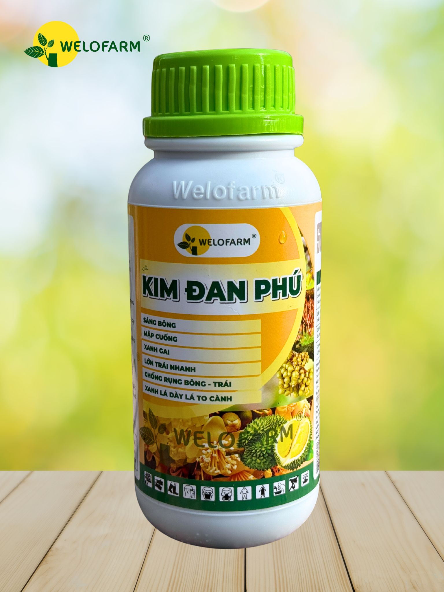 Kim Đan Phú