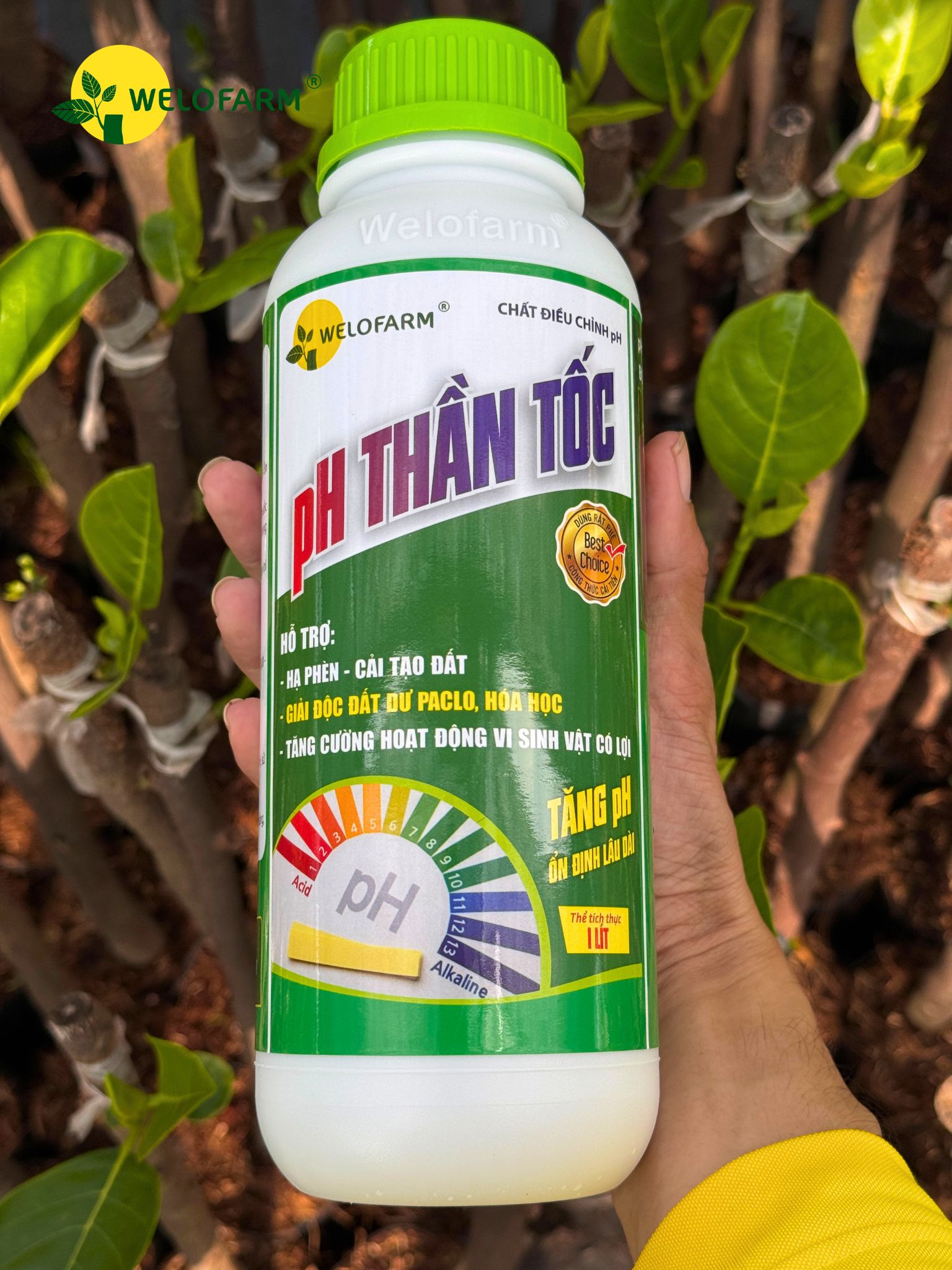 pH Thần Tốc