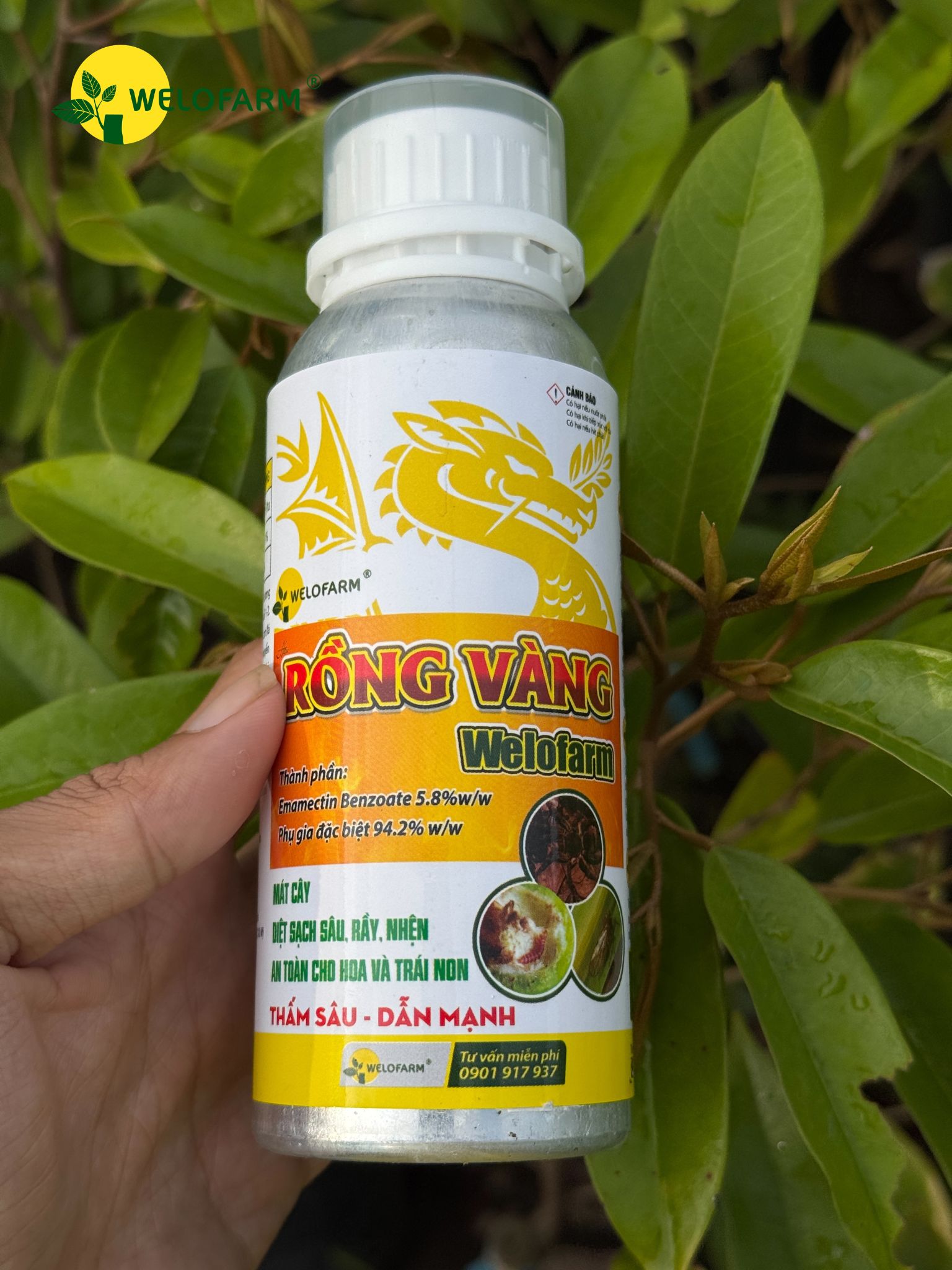 Rồng Vàng Welofarm