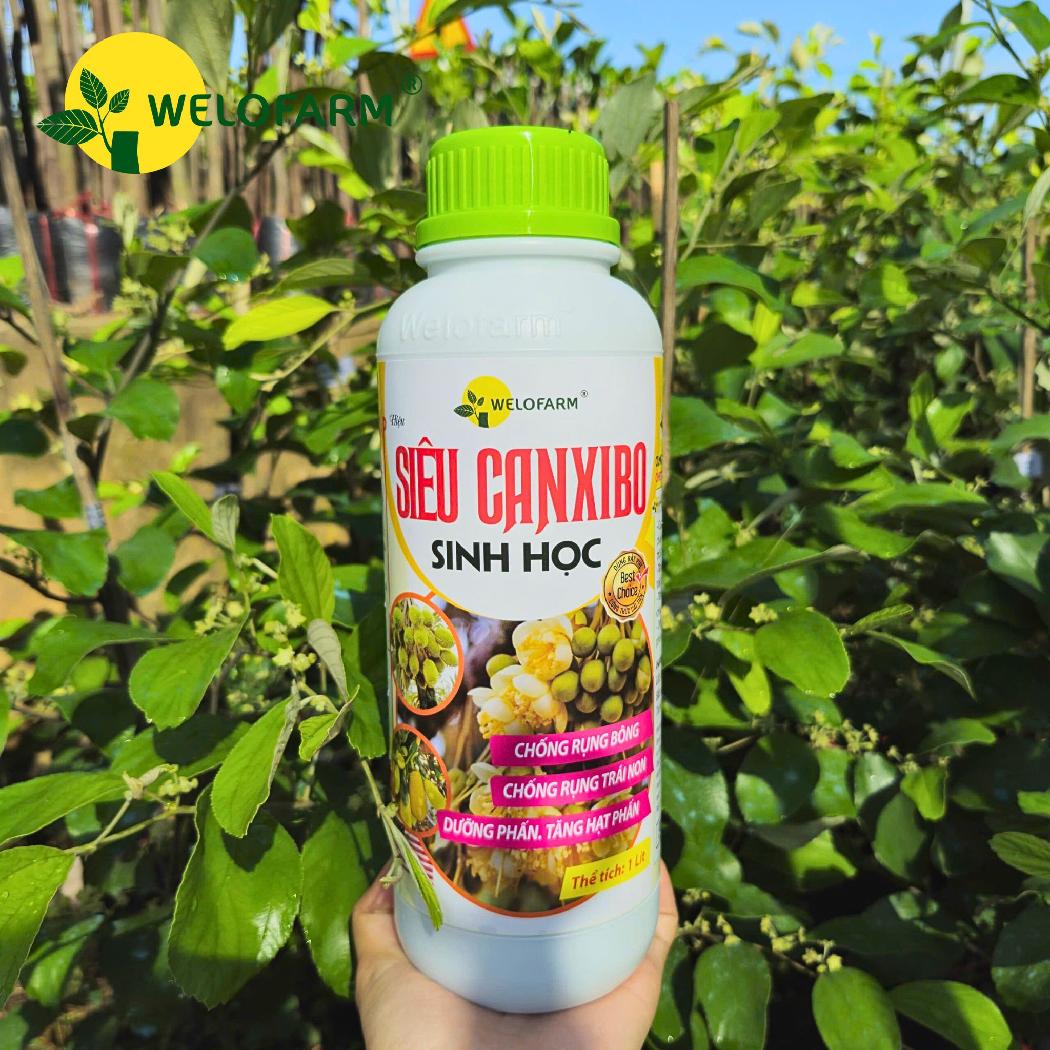 Siêu Canxi - Bo Sinh Học