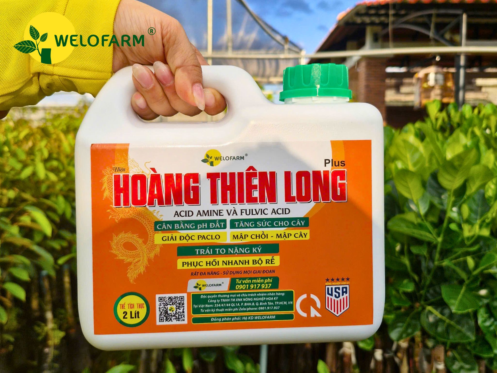 Plus Hoàng Thiên Long