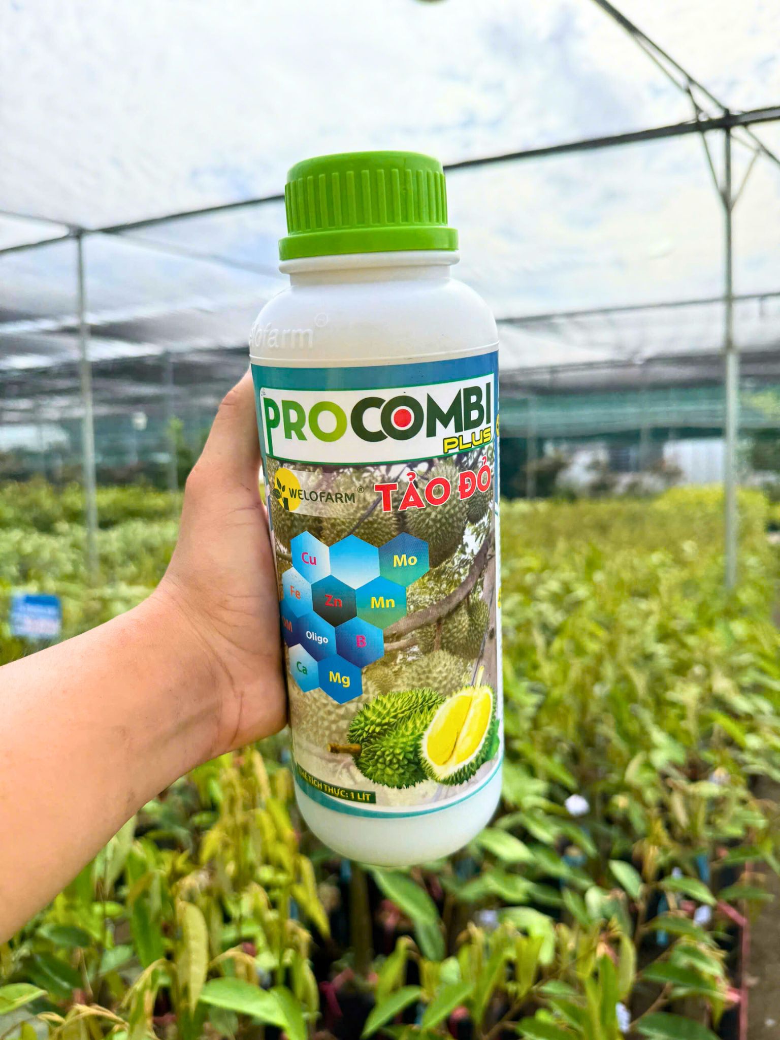 Pro Combi Tảo Đỏ Plus