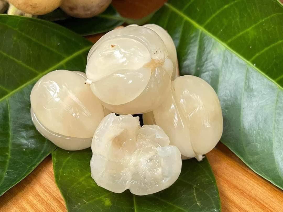 Bòn Bon Thái