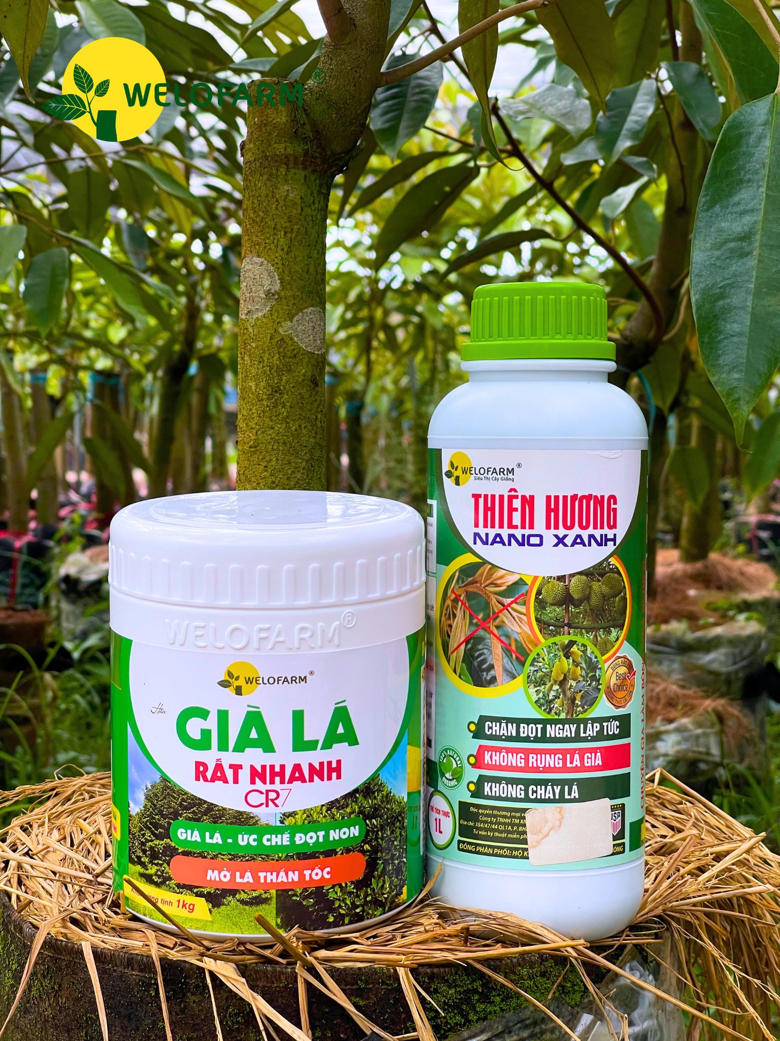 Bộ Già Lá Nhanh CR7