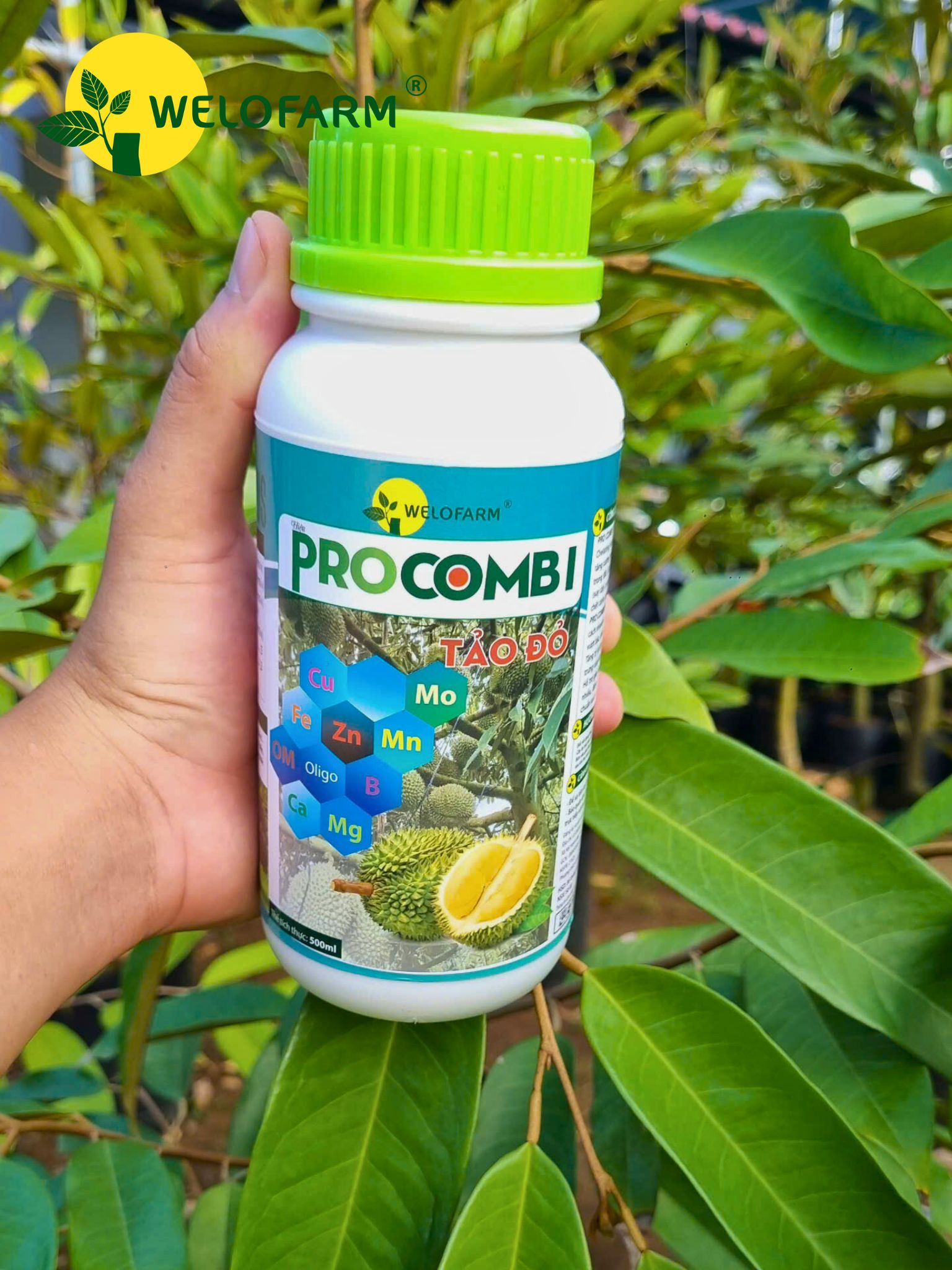 Procombi Tảo Đỏ 1L