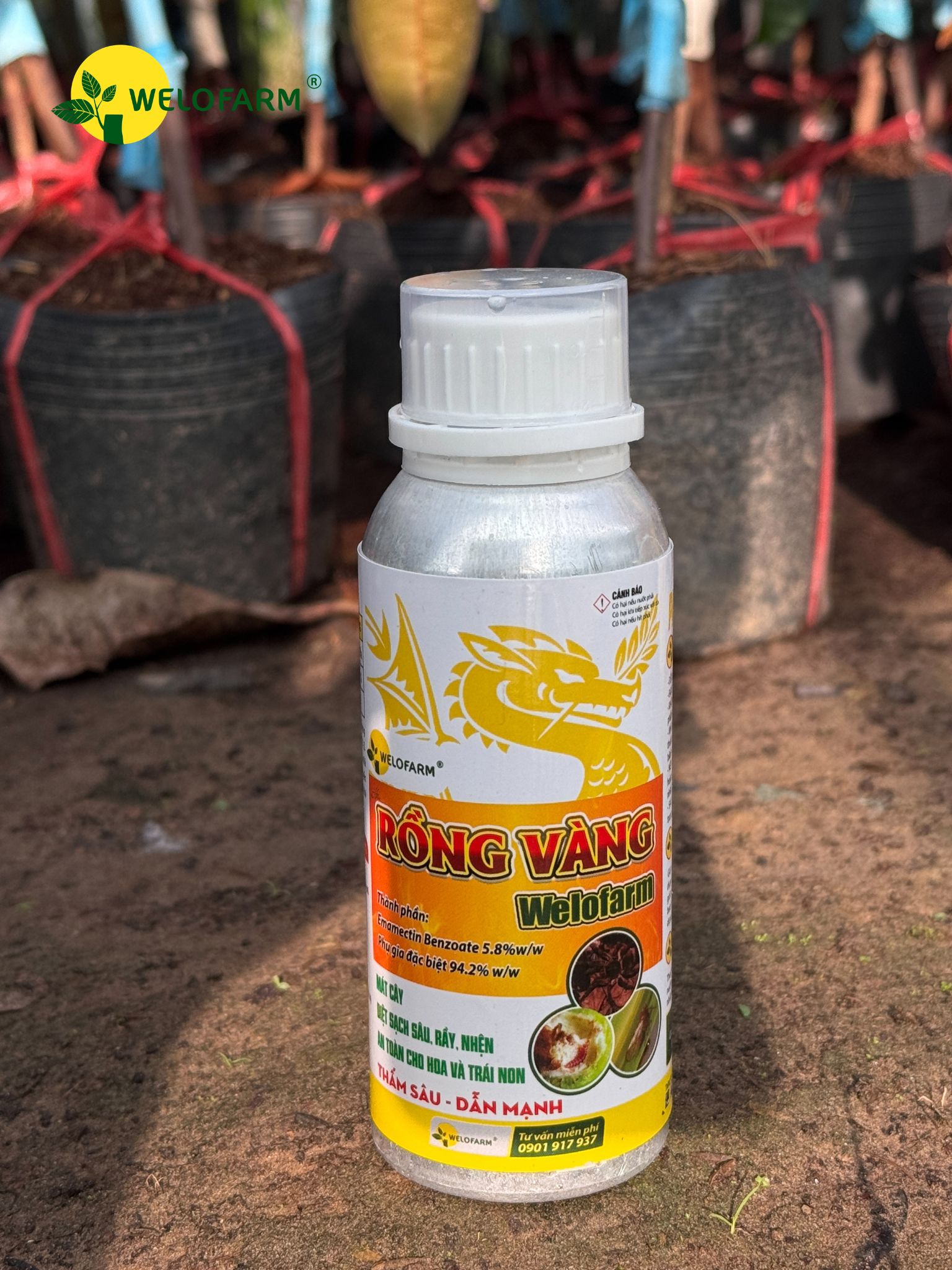 Rồng Vàng Welofarm