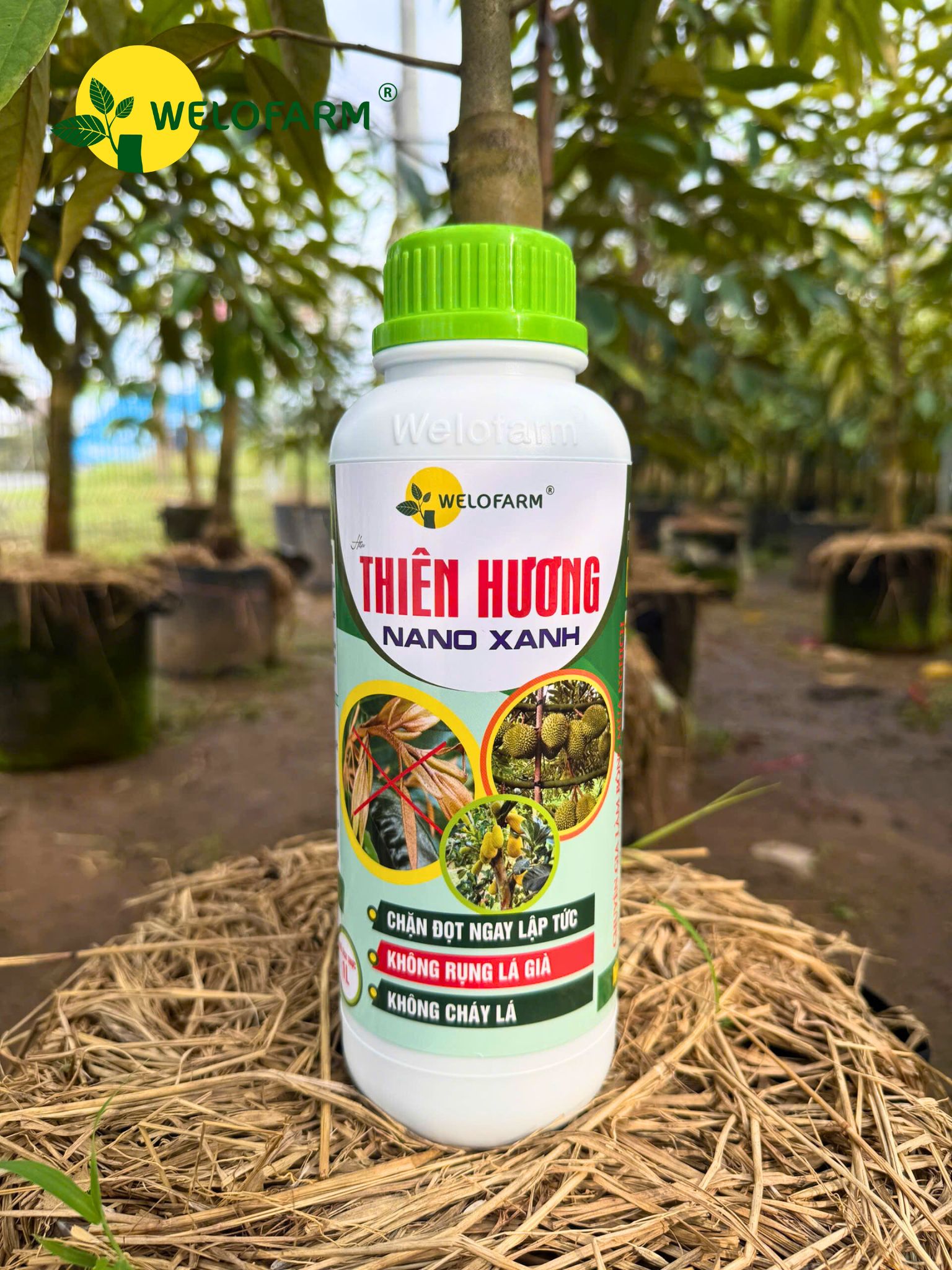 Thiên Hương Nano Xanh 1L