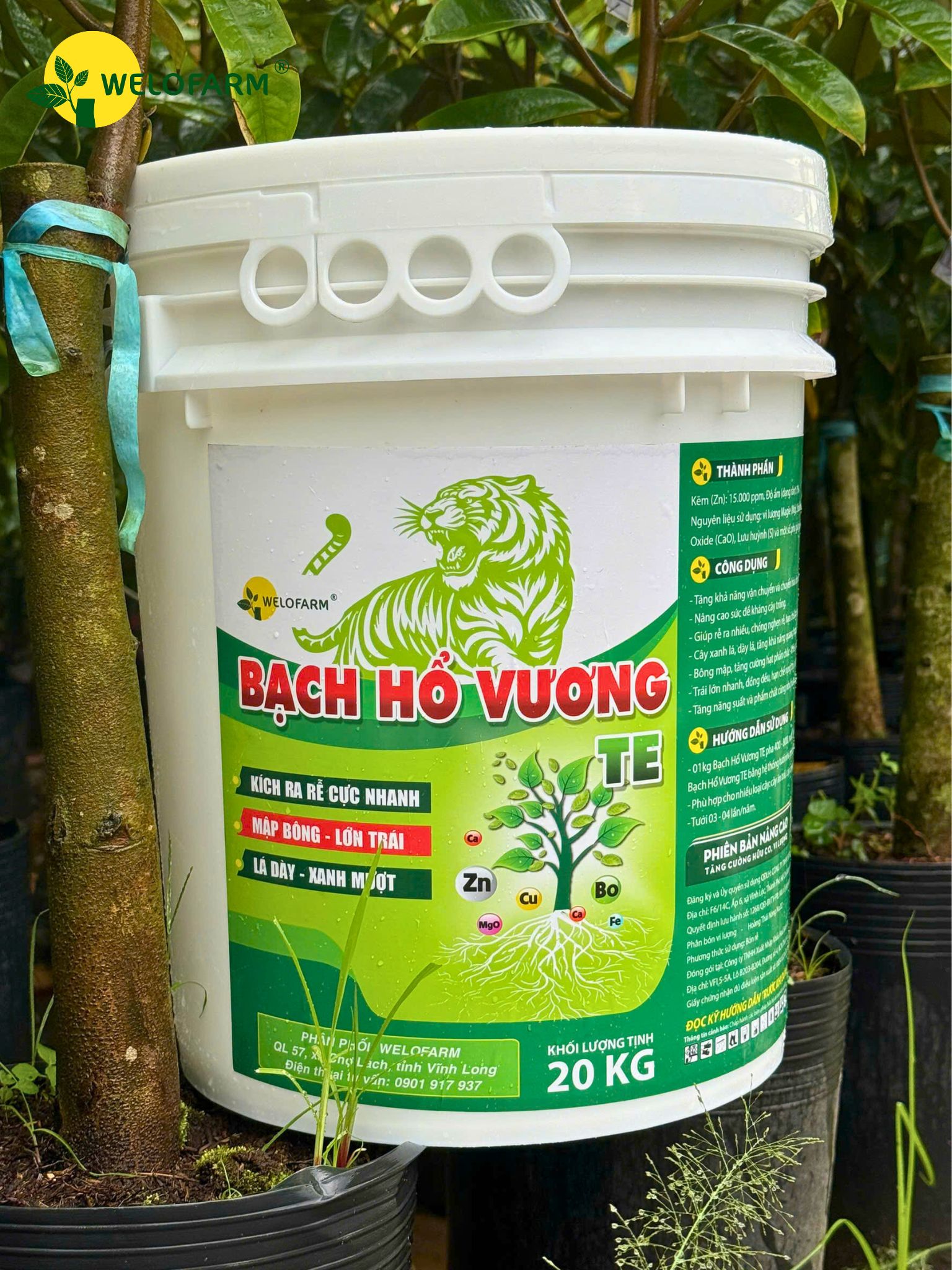 Bạch Hổ Vương TE