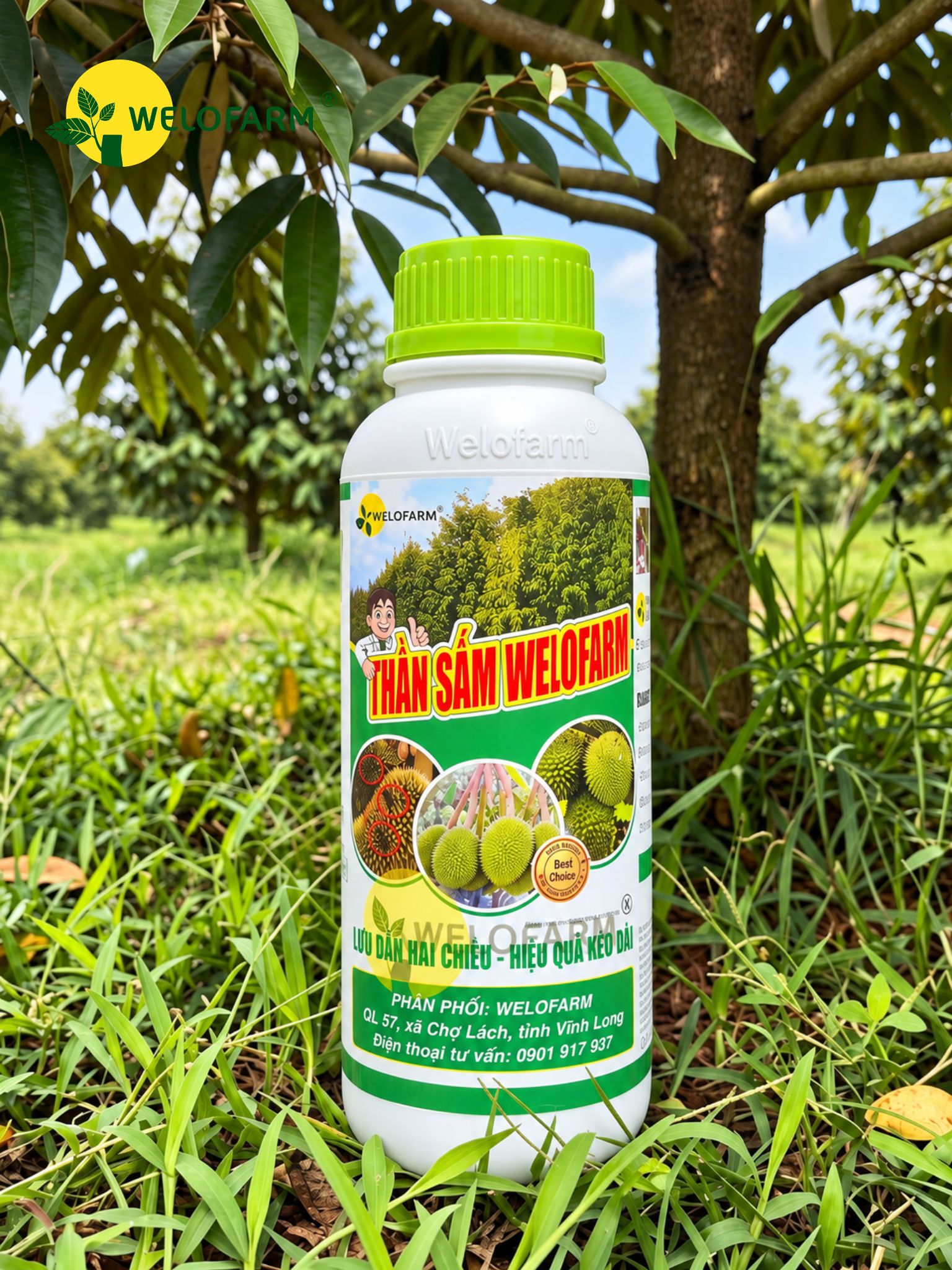 Thần Sấm Pro