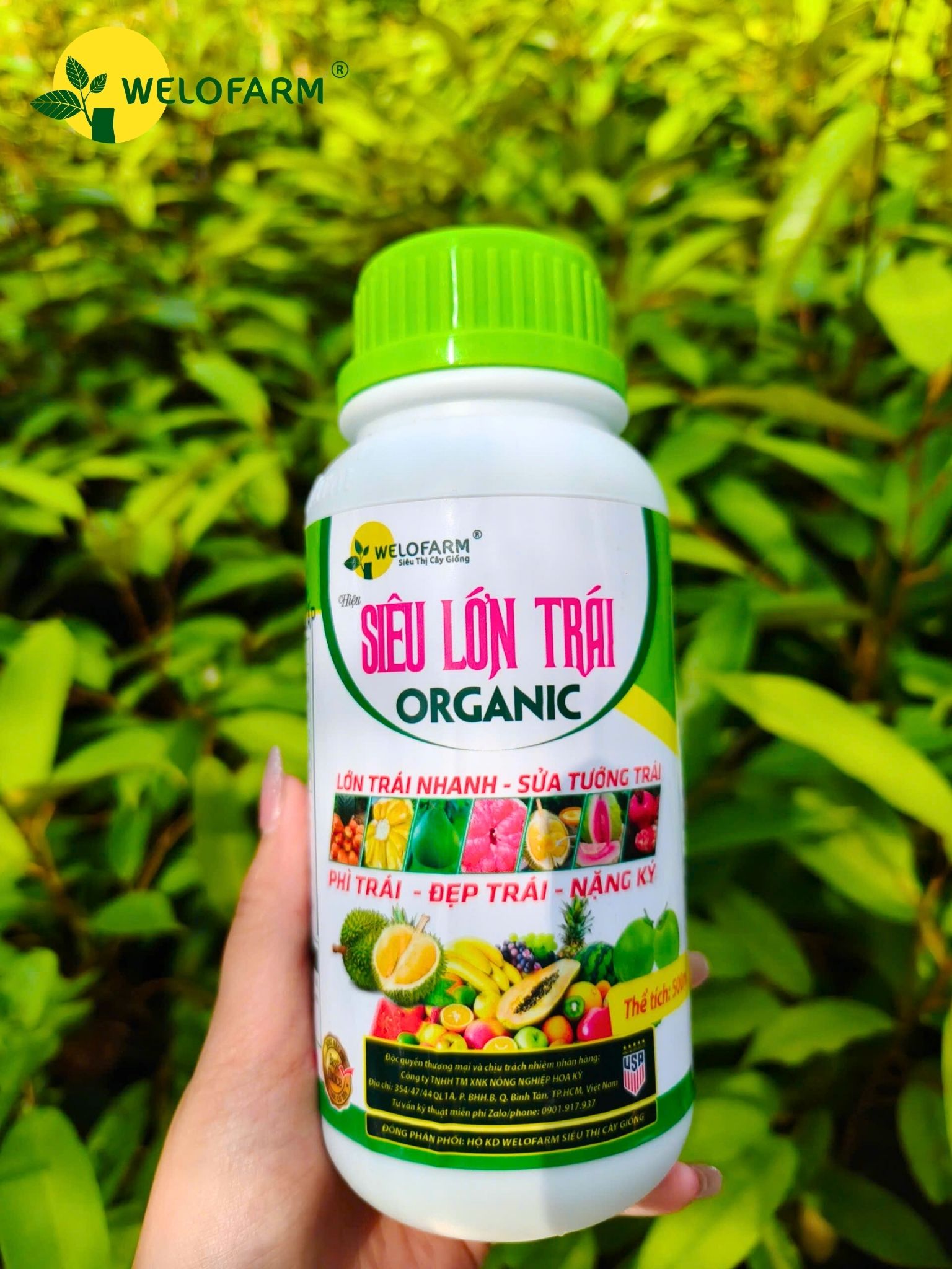 Siêu Lớn Trái USA