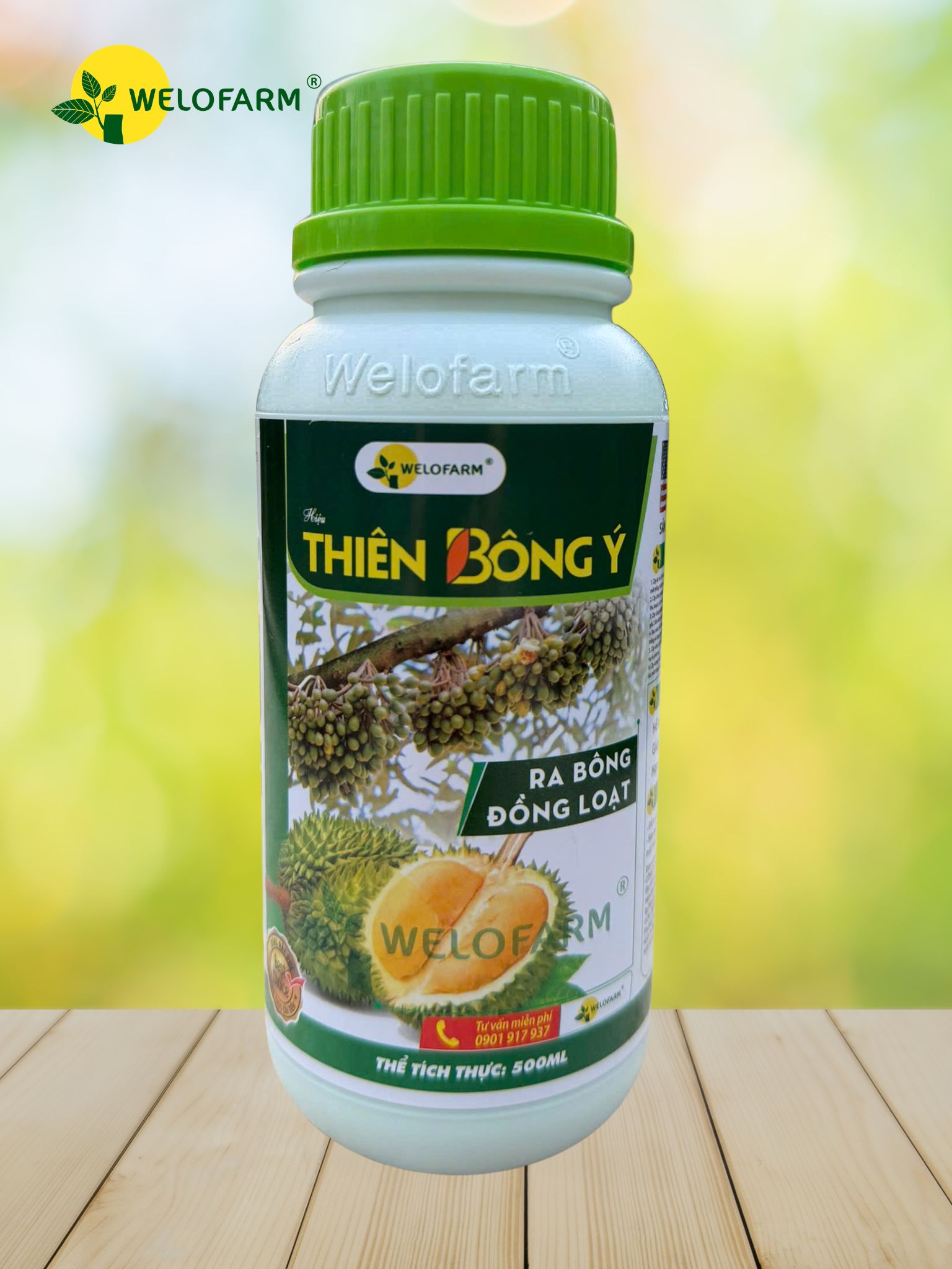 Thiên Bông Ý