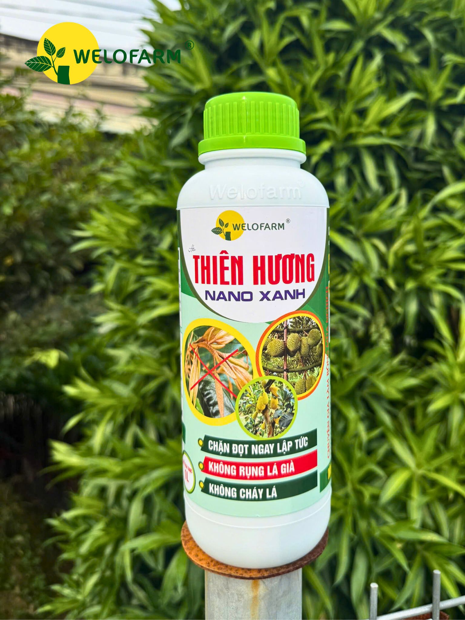 Thiên Hương Nano Xanh 1L