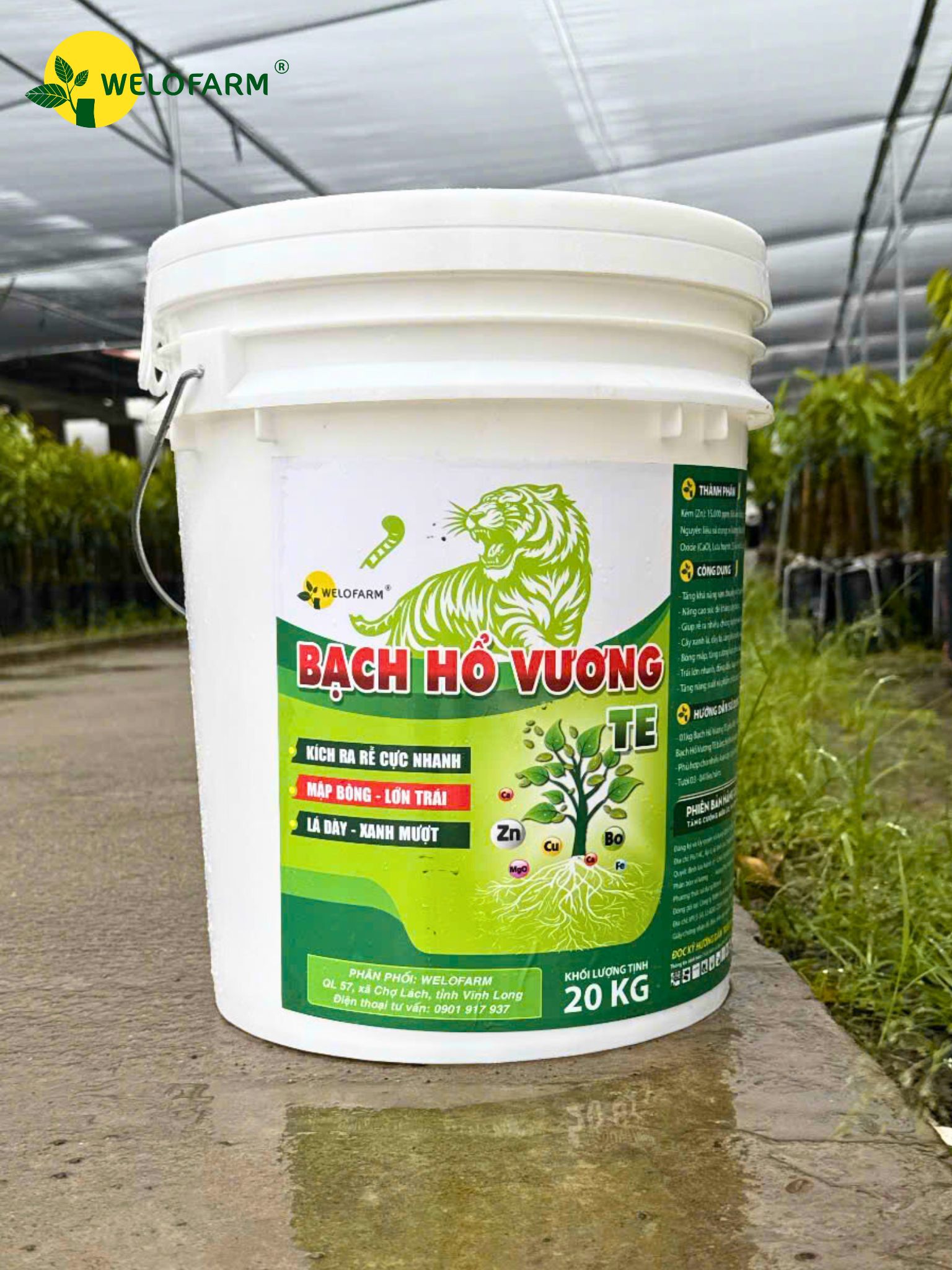 Bạch Hổ Vương TE
