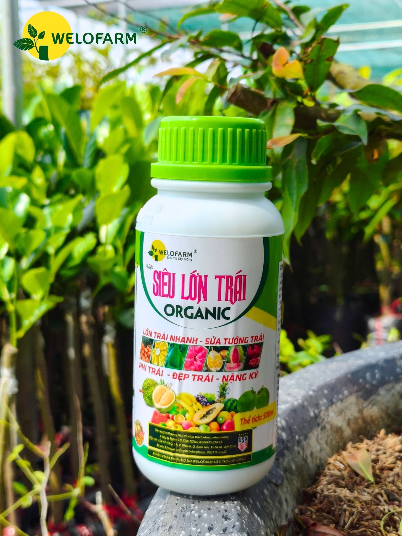 Siêu Lớn Trái USA