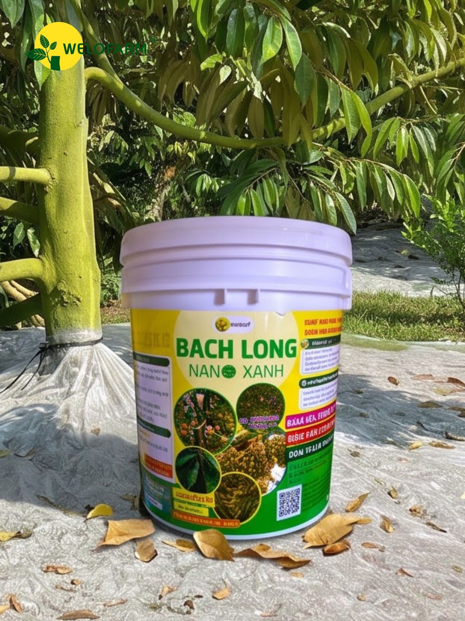 Bạch Long Nano Xanh