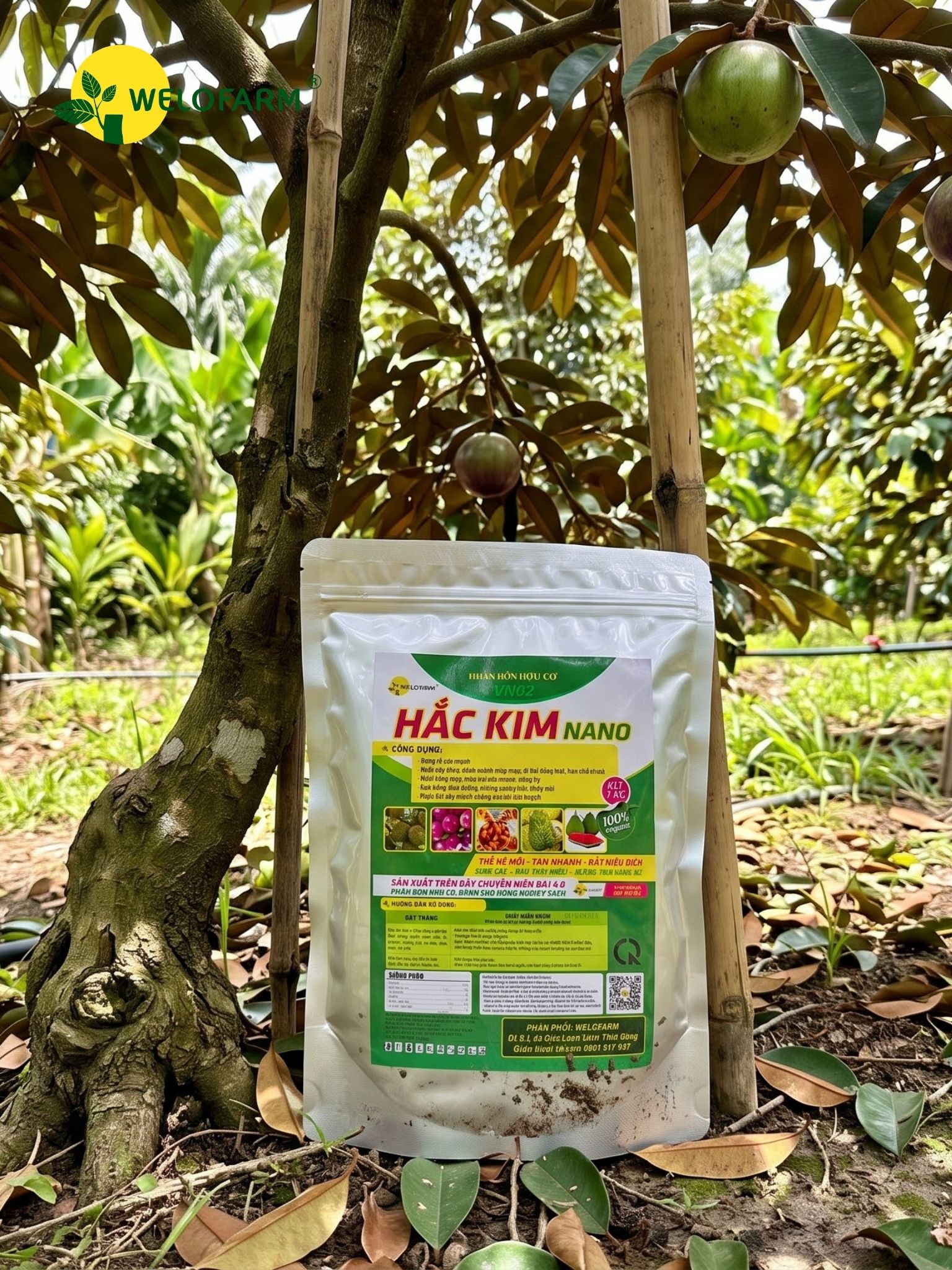 Hắc Kim NaNo (Kg)