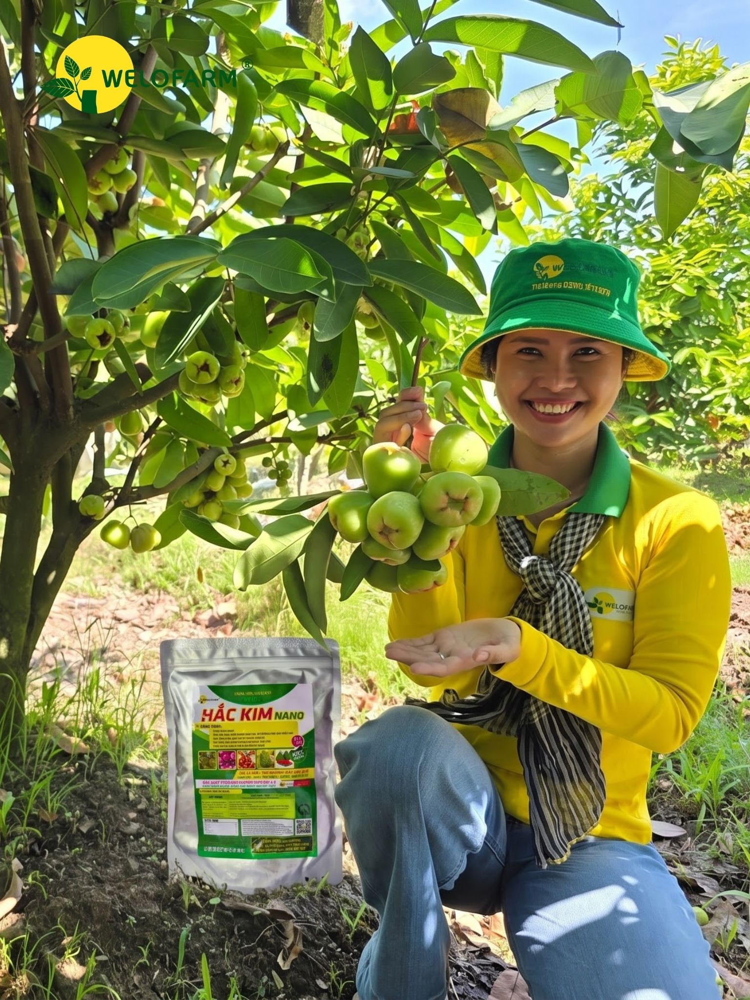 Hắc Kim NaNo (Kg)